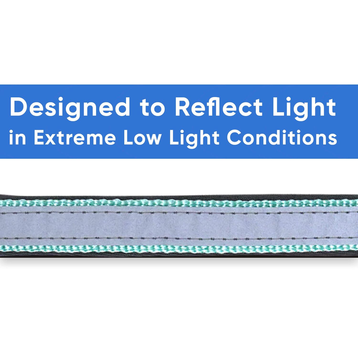Pawtitas Lumberjack Padded Martingale Collar for Dogs | Soft Neoprene Dog Collar for Your pet's Comfort Made with Reflective Band for Maximum Visibility | Fits Small and Large Pets - Small Teal