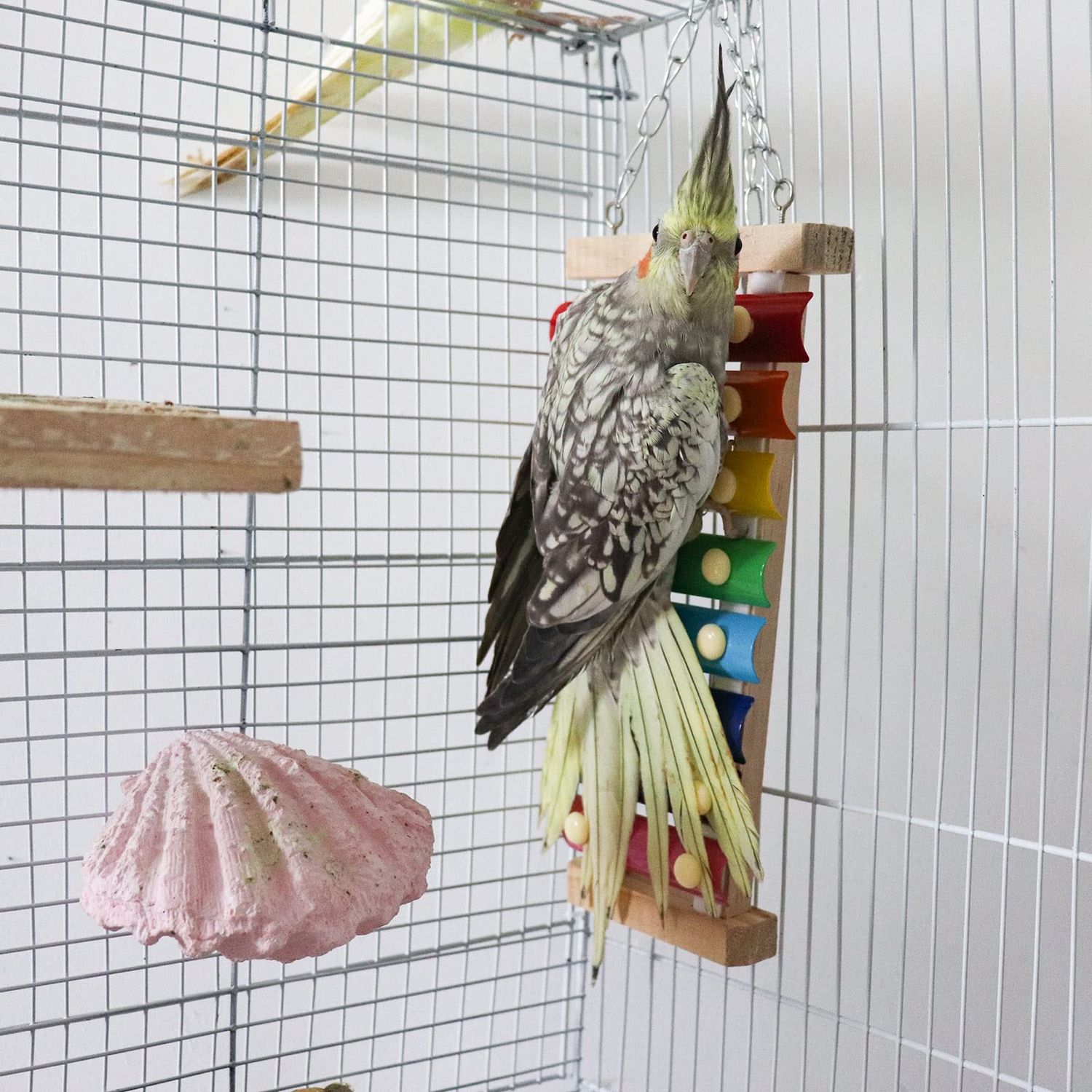 Colorful Bird Xylophone Toy, Suspensible Funny Xylophone Toy with 8 Metal Keys, Bird Cage Toy Accessories for Chicken Bird Parrot Parrot Parakeet Budgies Love Birds