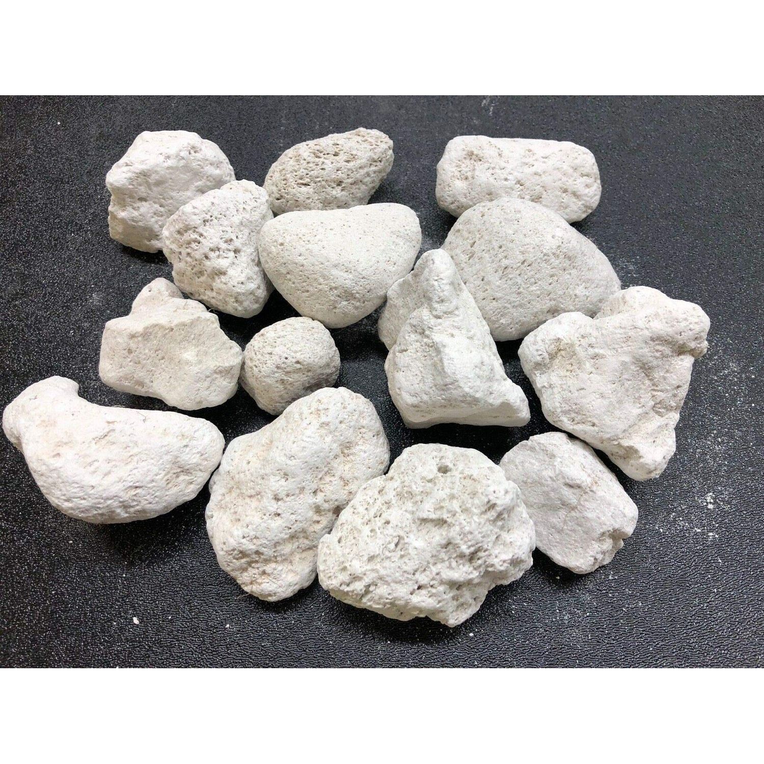 1 Gallon Natural Premium Quality Pumice Filter Media for Koi Pond, Bakki Shower, Fresh Water & Marine Aquariums