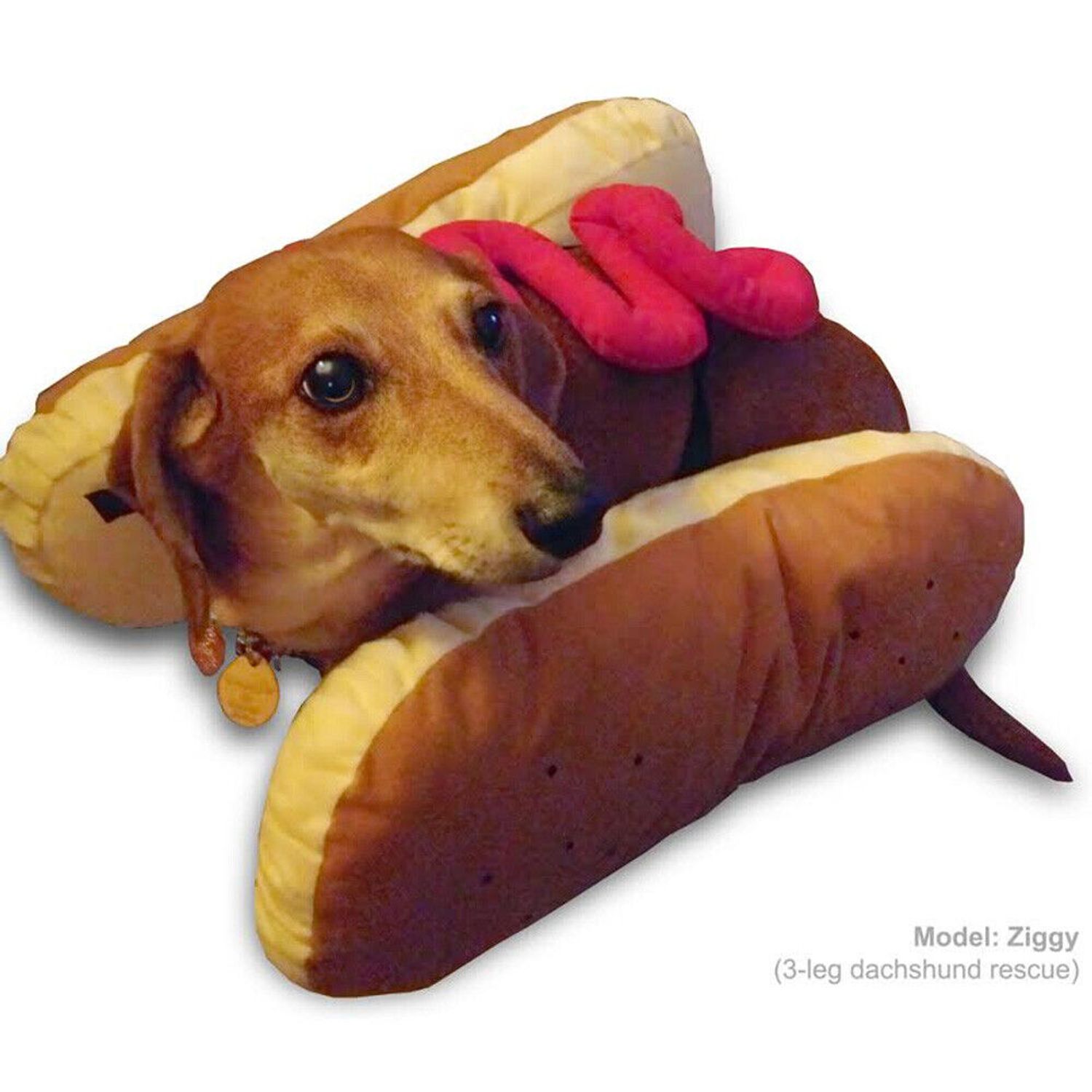 Otis and Claude Fetching Fashion Hot Diggity Dog Costume Mustard (Medium)