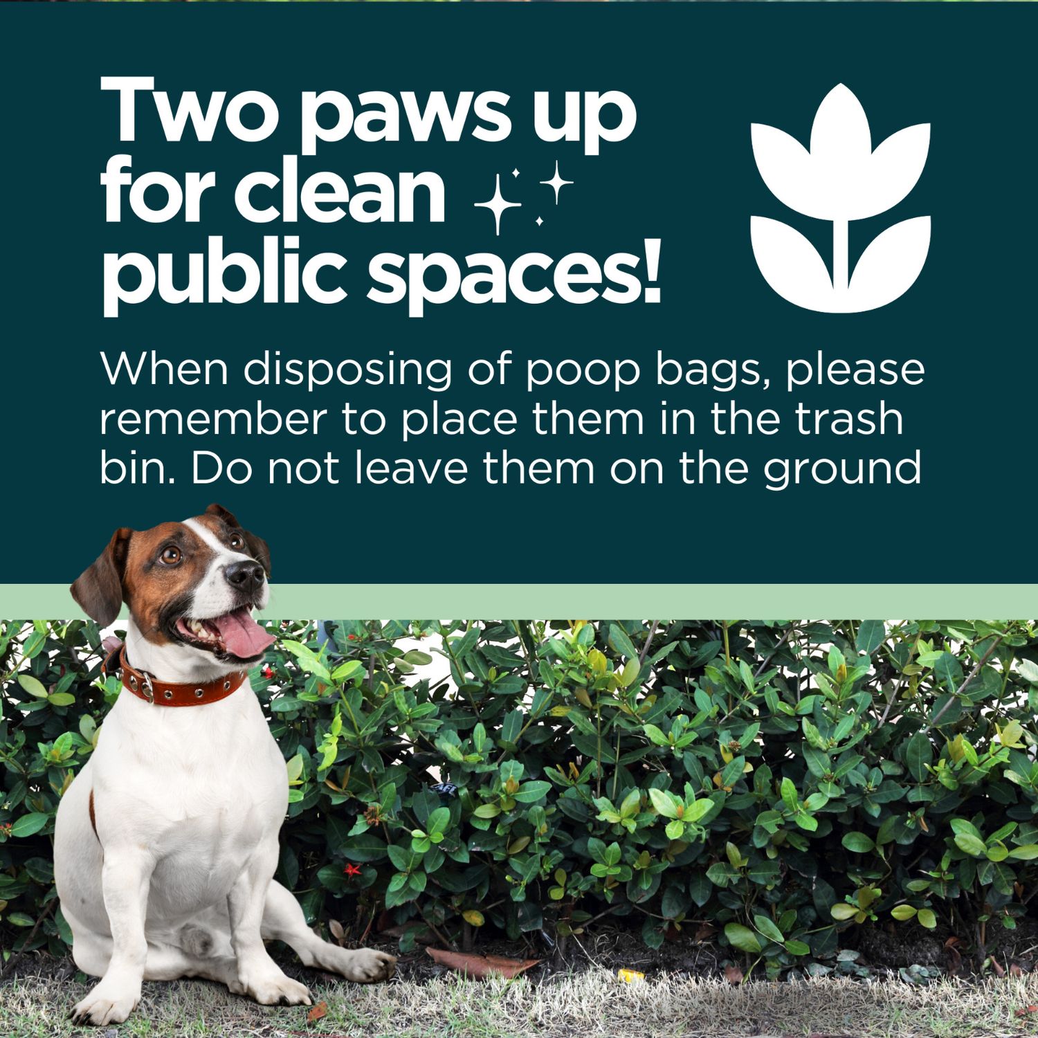 The Original Poop Bags® Pet Waste Bags Countdown Roll® Biobased Poop Bags, 960ct
