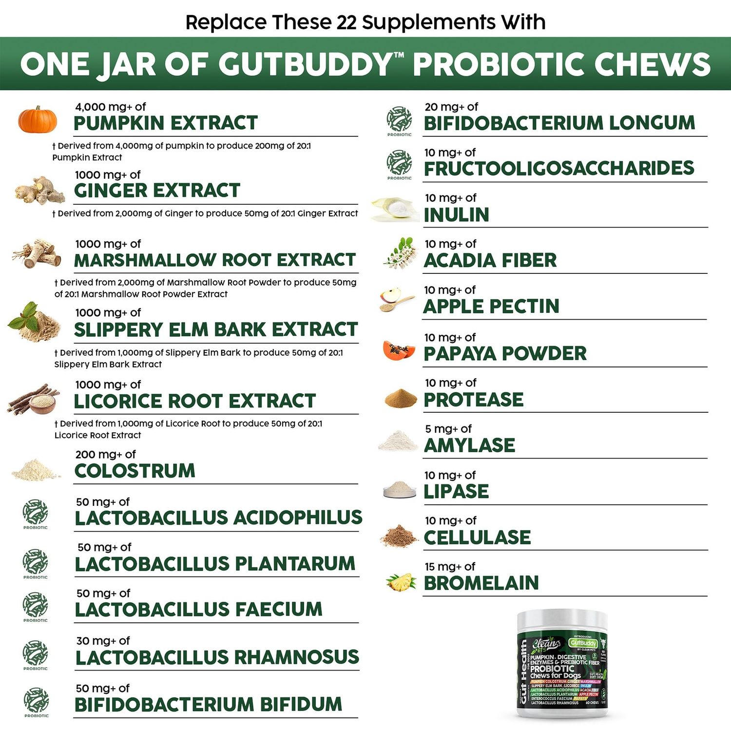 Clean Pets Probiotics for Dogs with Pumpkin, Colostrum, Digestive Enzymes, Ginger, Slippery Elm, Licorice, Inulin Fiber & More | Beef Flavor Soft Chews for Gut Health and Digestion Dog Supplement