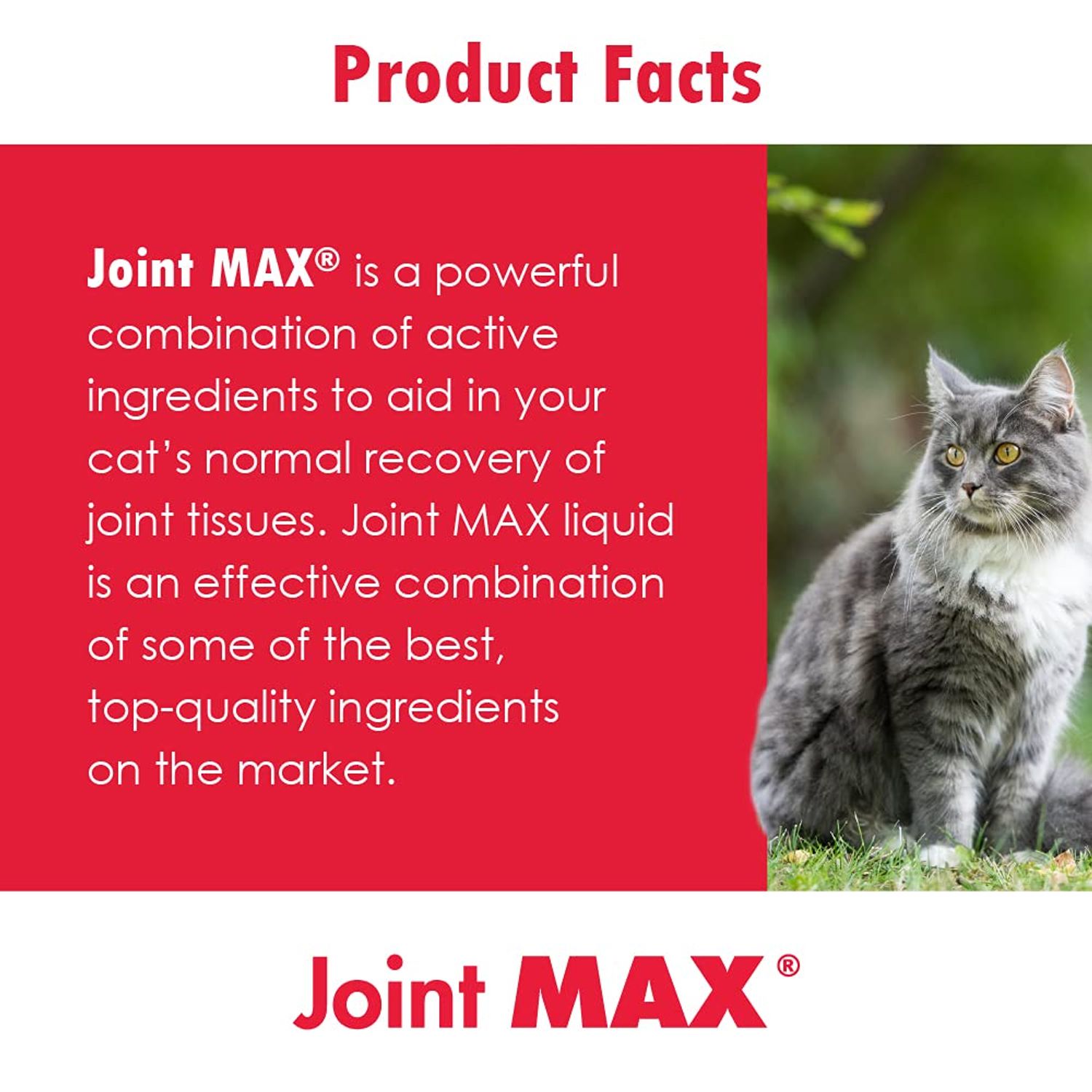 Joint MAX Liquid for Cats - Vitamins, Minerals, Antioxidants - Glucosamine, Chondroitin - Supports Joints and Cartilage Health, Chicken Flavor - Veterinarian Formulated - 8 fl oz