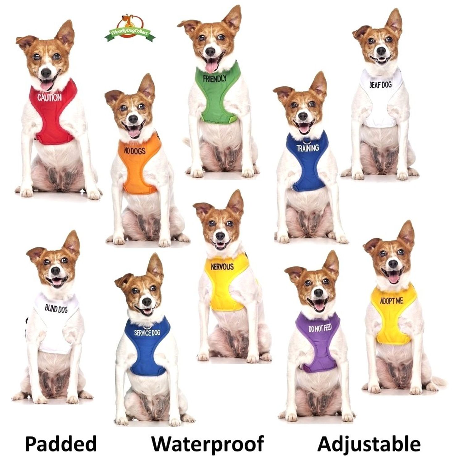 Service Dog Blue Color Coded S-M L-XL Buckle Dog Collar (Do Not Disturb) Prevents Accidents by Warning Others of Your Dog in Advance (L-XL Collar 15-25" Lx1.5 W)