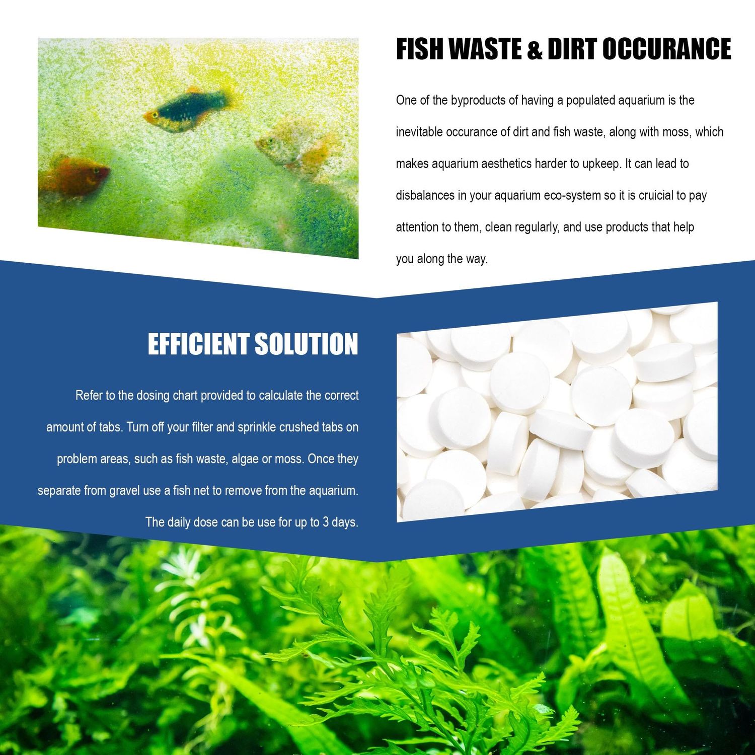 Dr. Tank #13 Fish Waste Removal & Sand Washing - Aquarium Gravel Cleaner - Removes Fish Waste & Improves Water Clarity, Safe for Fish & Aquatic Plants - 120 Tablets