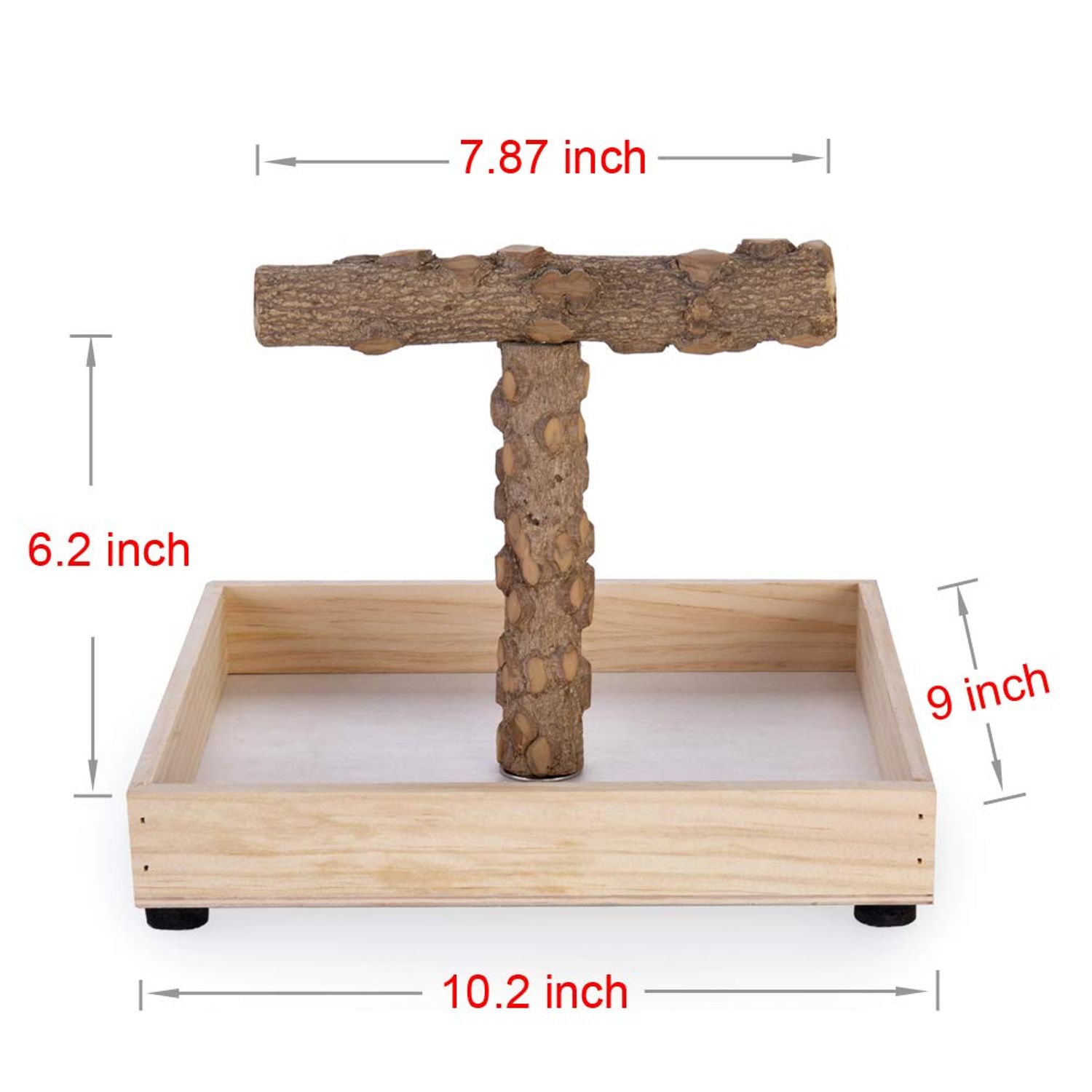 KINTOR Bird Stand Tabletop,Portable Tee Stand, Parrot Play Stand Perch Gym for Small Medium Parrot (T Stand)
