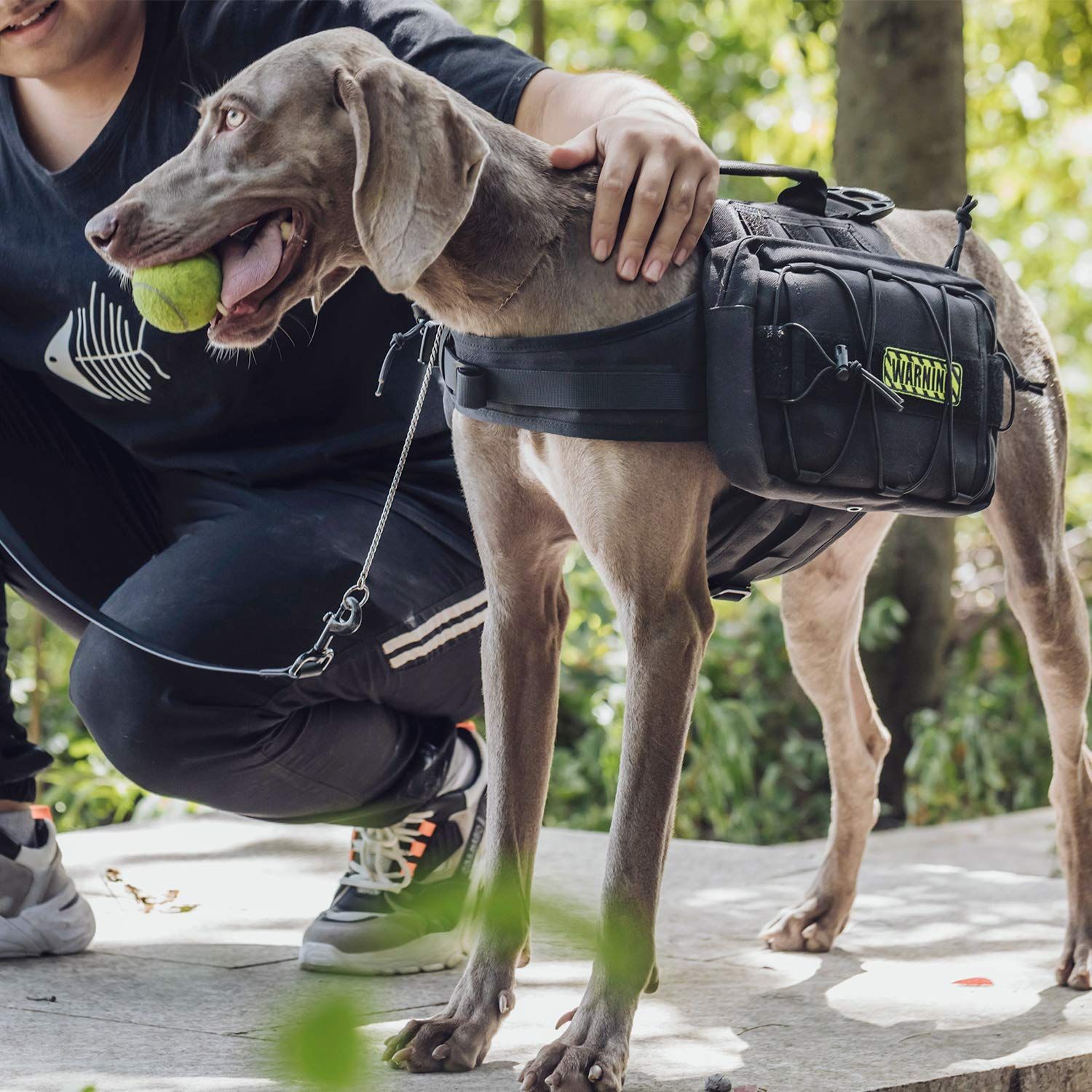 OneTigris Dog Backpack for Hiking Nylon Dog Harness Backpack with Side Pockets for Large Dog with 22"-31.5" Neck Girth and 29"-35.8" Chest Girth (Black)
