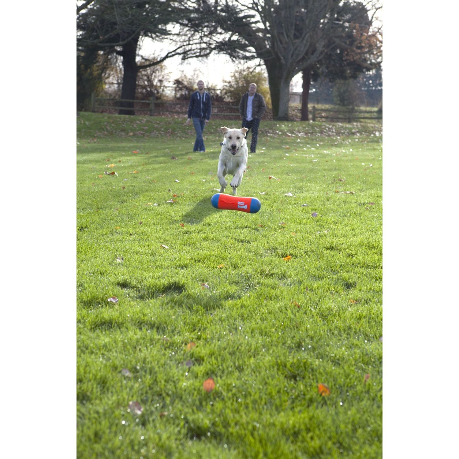 ChuckIt! Tumble Bumper Dog Toy, Medium
