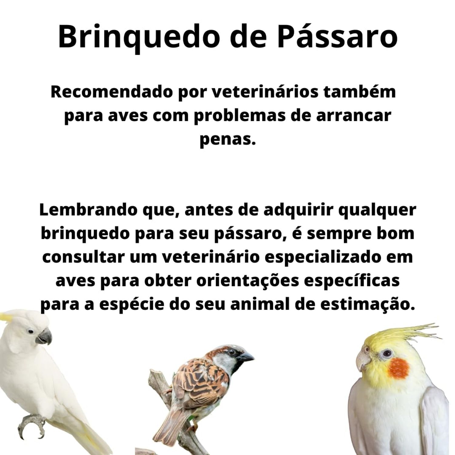 Wesco Pet Original Bird Kabob Shreddable Bird Toy, 2 Pack