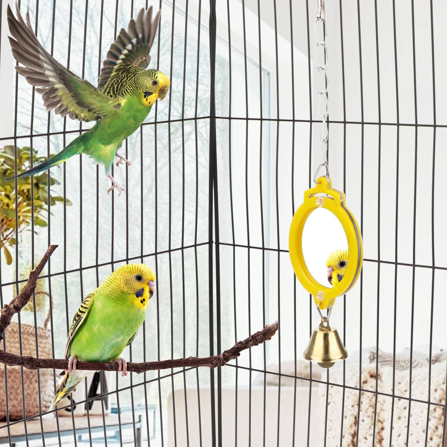 Hypeety Pet Bird Mirror with Bell Interactive Treat Puzzle Parrot Toy Bird Cage Mirror Small Bird Swing Chew Toys Fun Cage Accessories (Color Random) (Round Shape)