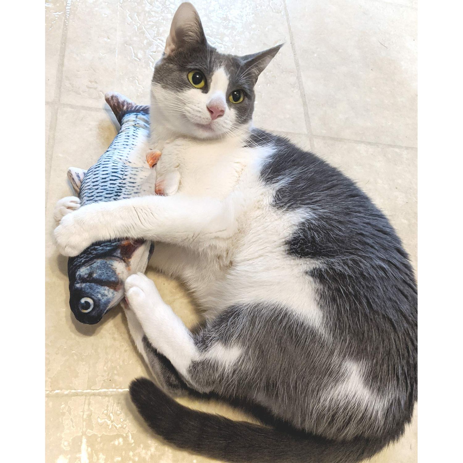 SPOT Flippin' Fish Interactive Cat Toy with Catnip for Indoor Cats & Kittens - Touch Activated, Flipping Tail, Rechargeable with USB, Hours of Fun - 11.5 inch