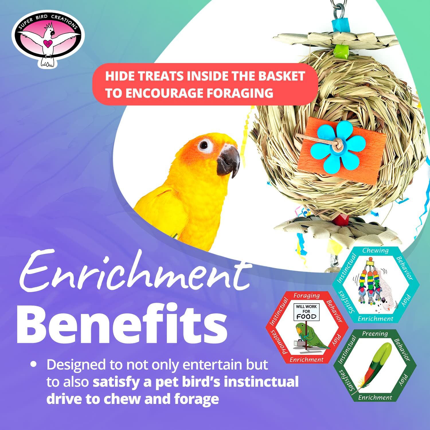Super Bird Creations SB611 Beakwhich Bird Toy - Interactive, Engaging Play Accessory, Ideal for Medium-Sized Parrots, Perfect for Chewing and Mental Stimulation - Durable Construction, 9" x 5" x 4"