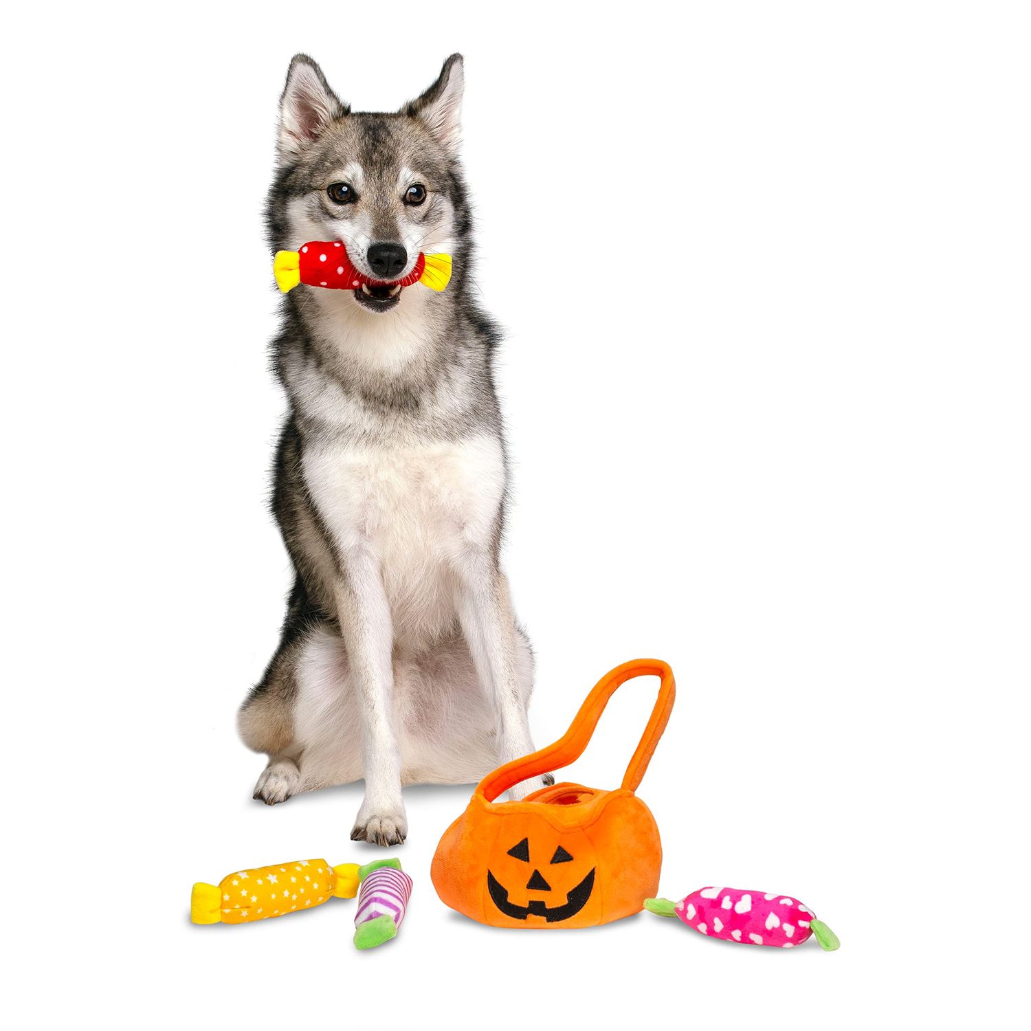 Midlee Find a Toy Halloween Pumpkin Bucket Dog Toy