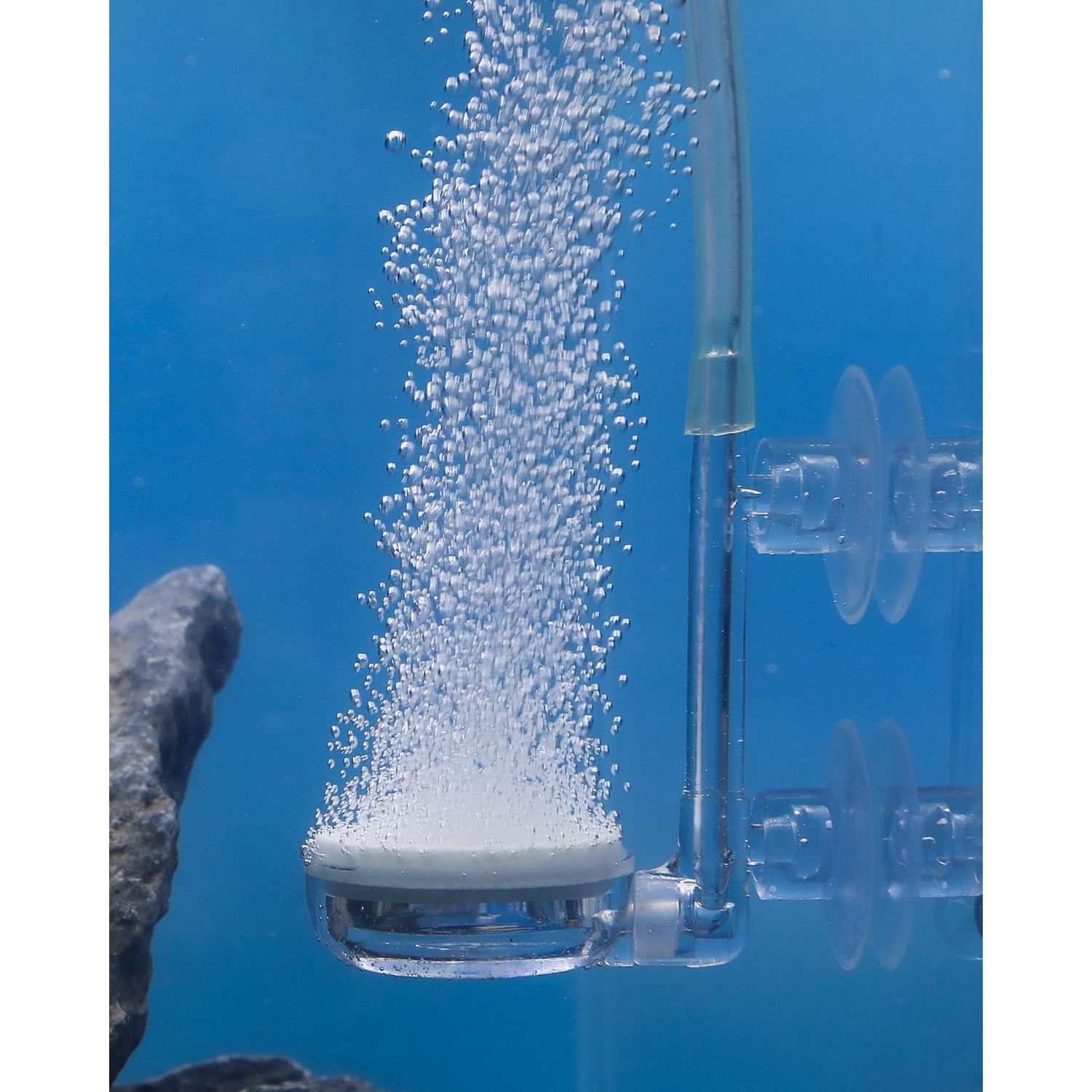 Pawfly Aquarium Air Stone Disc, 1 Inch Small Fish Tank Air Stone Kit Ultra-High Dissolved Bubbler Airstone with Accessories for Aquarium Fish Tank and Small Bucket(Pump Not Included)