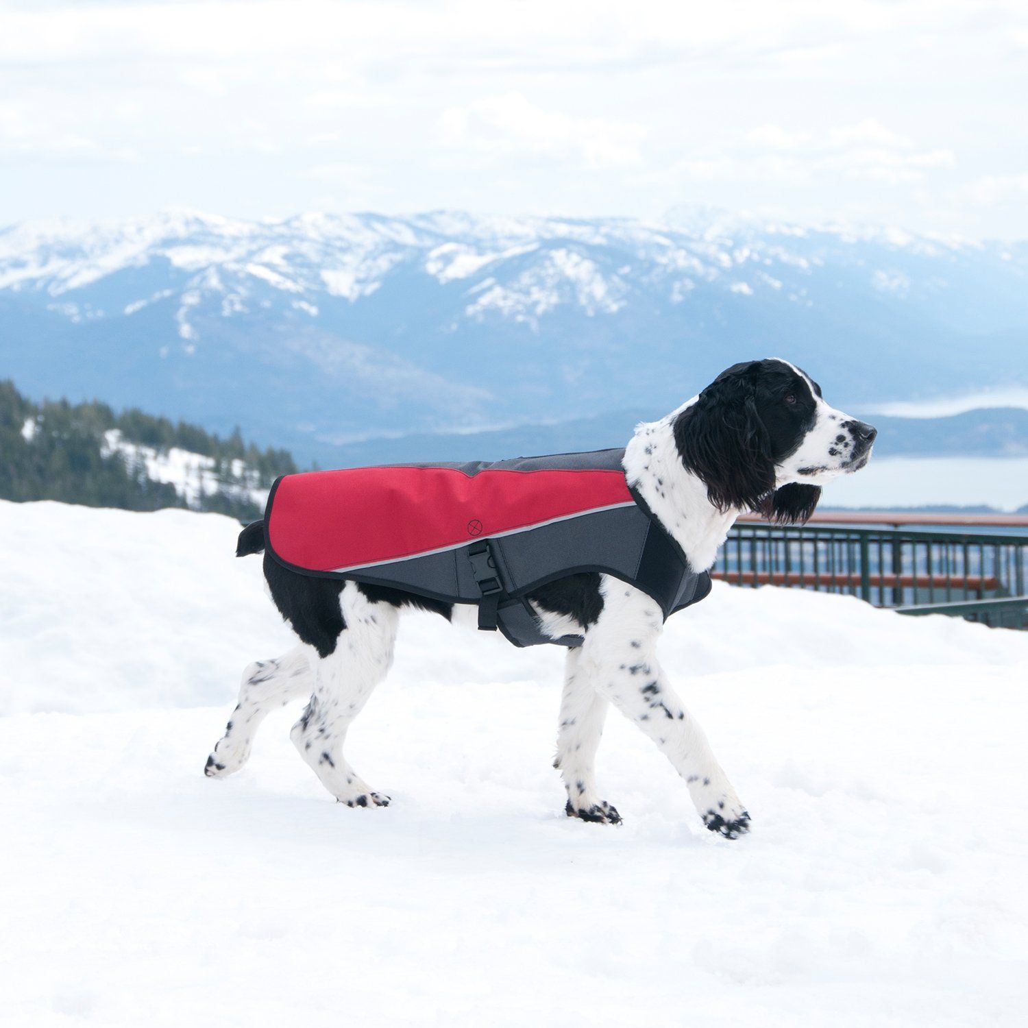 EzyDog Element Best Dog Jacket - Premium Wind and Waterproof Reflective Dog Coat for Safety and Protection - Provides Leash Access to Harness or Collar (Scarlett, XX-Small)