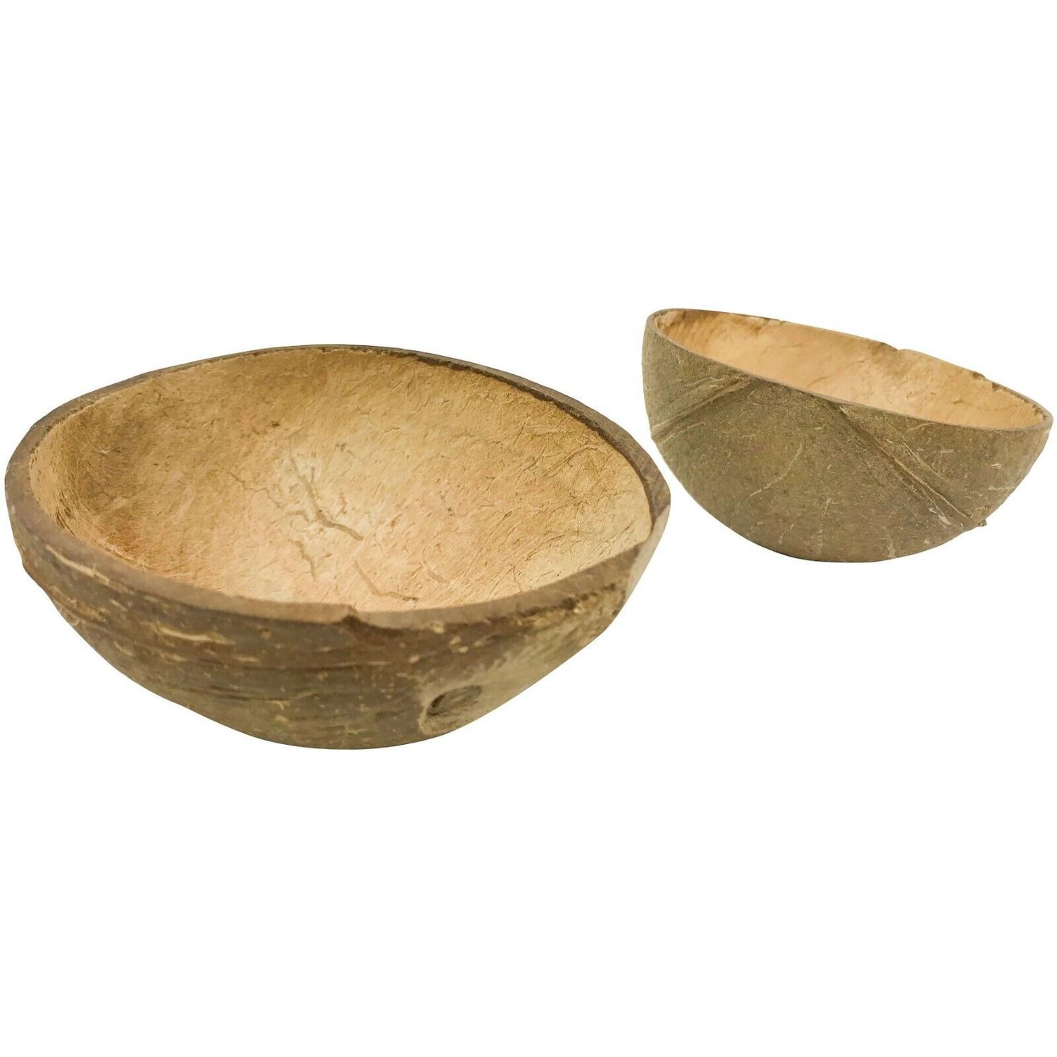 2055 Pk2 Coconut Cup Flat Base Bird Parrot Seed Water Bowl Toy Craft Toys Pet