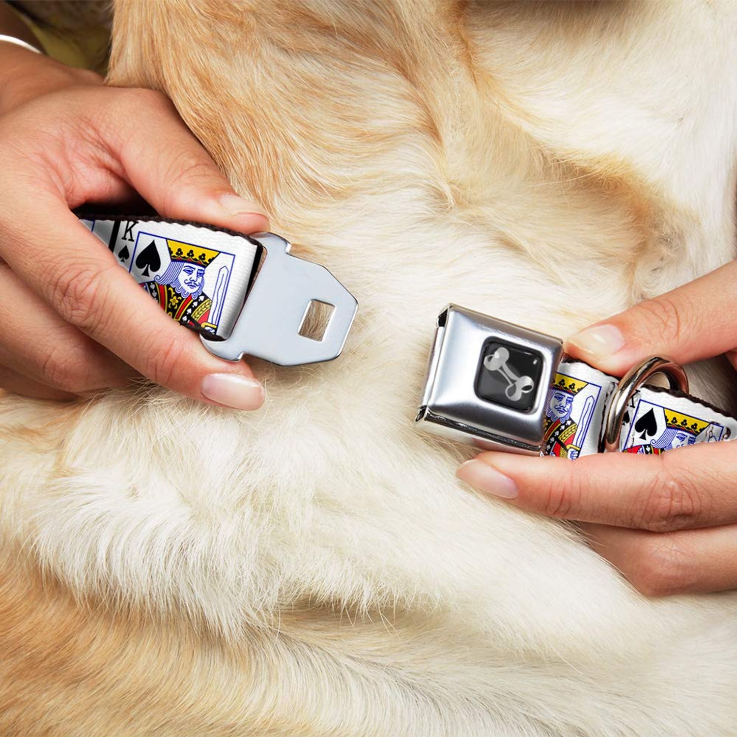 Buckle-Down Seatbelt Buckle Dog Collar - King of Spades - 1.5" Wide - Fits 13-18" Neck - Small