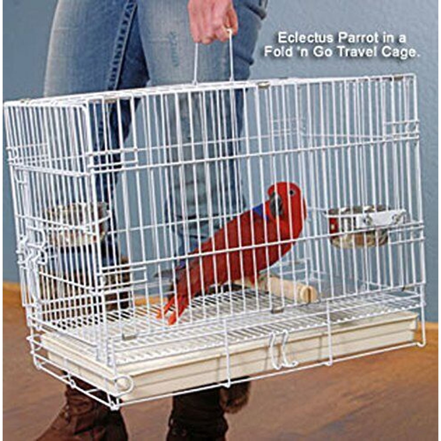 LARGE Parrot Bird Travel Carrier Foldable Wood Stand Perch Steel Cup Metal Cage