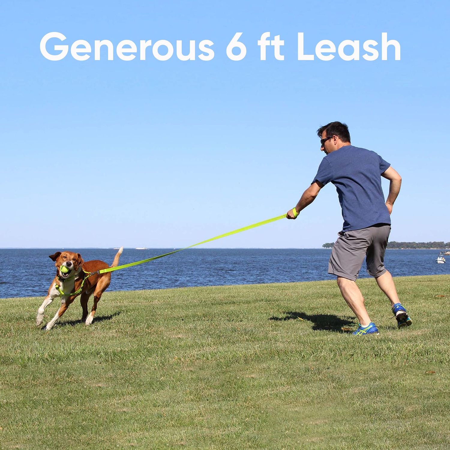 Pawtitas 6 FT Pet Puppy Leash Reflective Dog Leash Comfortable Handle Highly Reflective Threads Heavy Duty Dog Training Leash Available as a 6 ft Small Dog Camo Pink Leash
