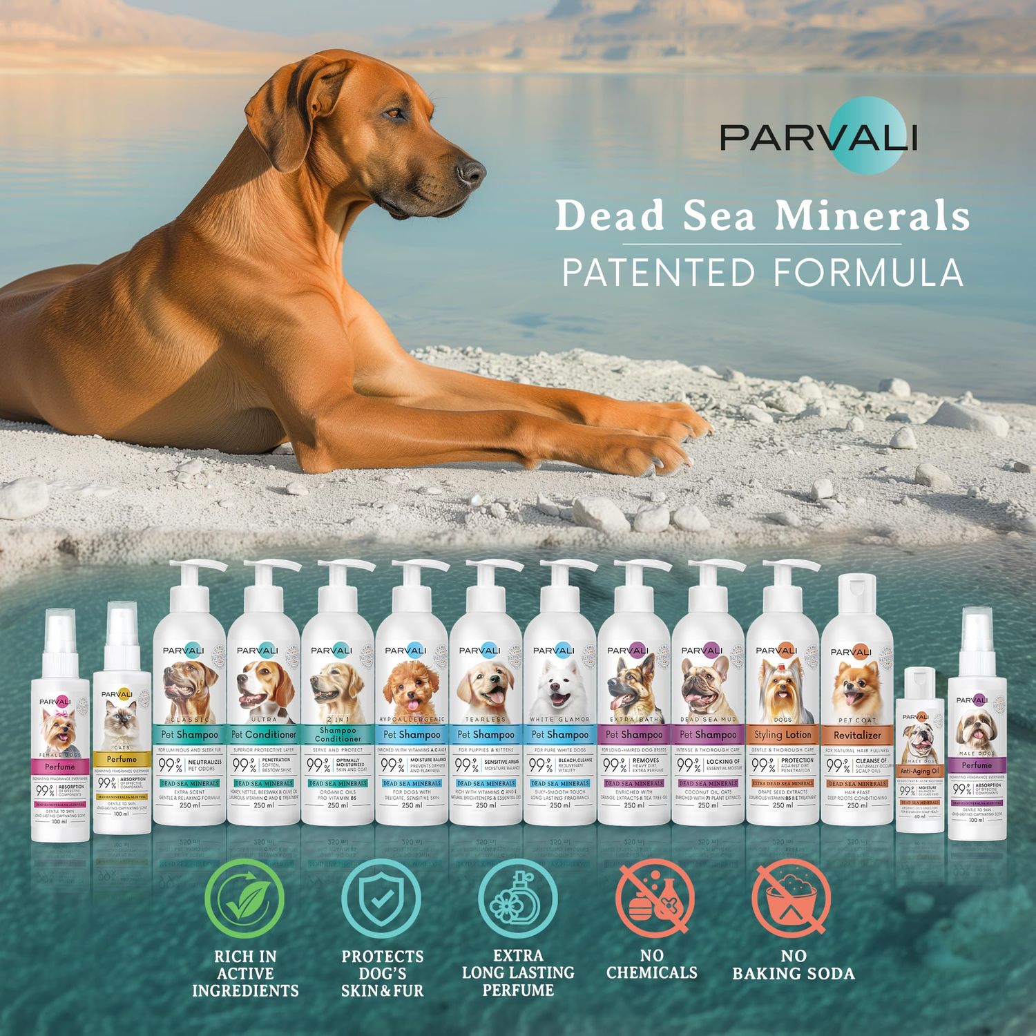 PARVALI Natural Dead Sea Classic Dog Shampoo (250 ml, 8.45 fl oz). Unique Odor-Neutralizing Blend, Minerals Rich, Anti-Oxidative, Antiseptic, and Calming Formula for Gentle and Easy Application.