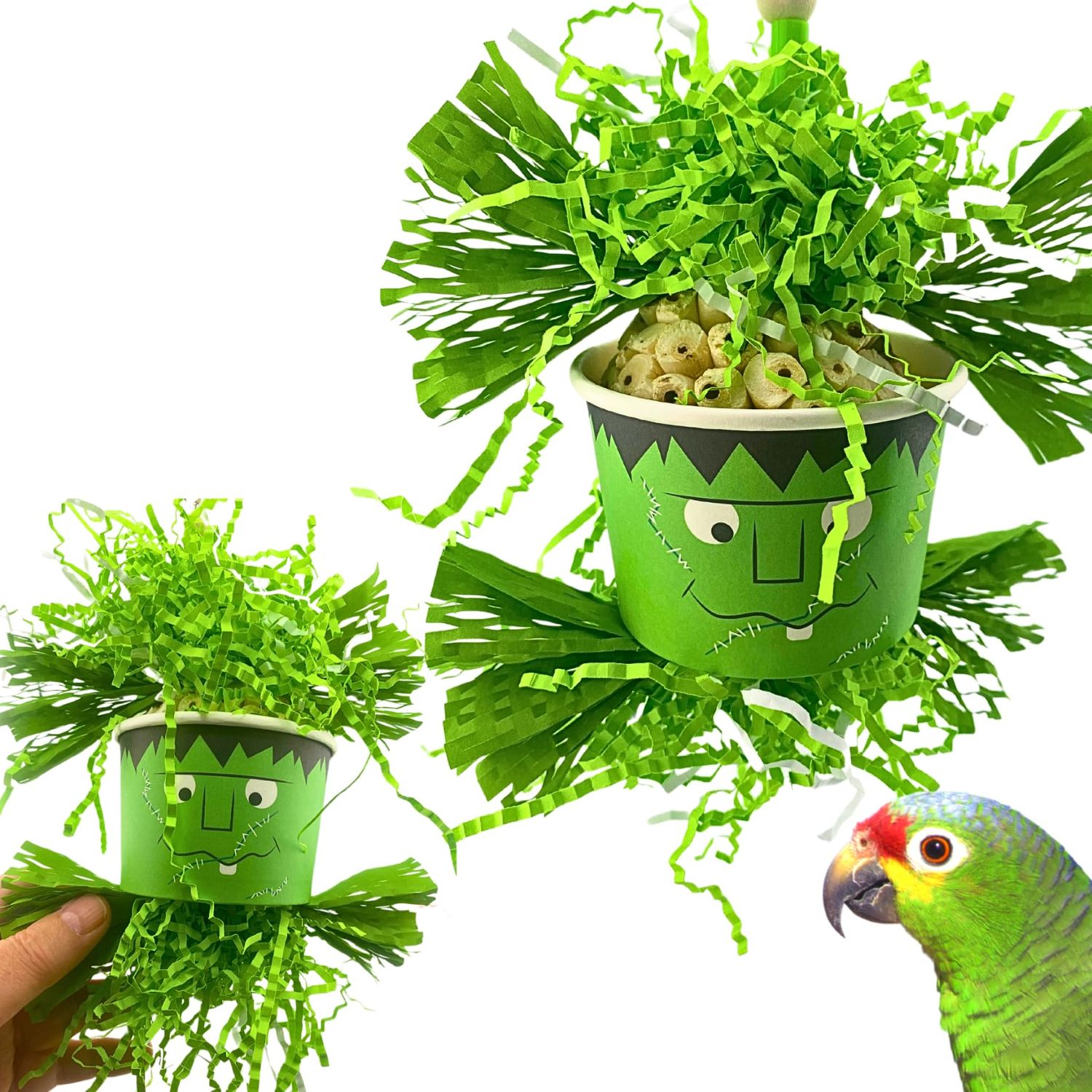 Bonka Bird Toys Halloween Ghoulish Treat Dishes Sola Atta Chew Shred Parrot Cage Toy, Conure, Ringneck, Quaker, Cocktail, and Similar Breed Sizes (2712 Frankenstein)
