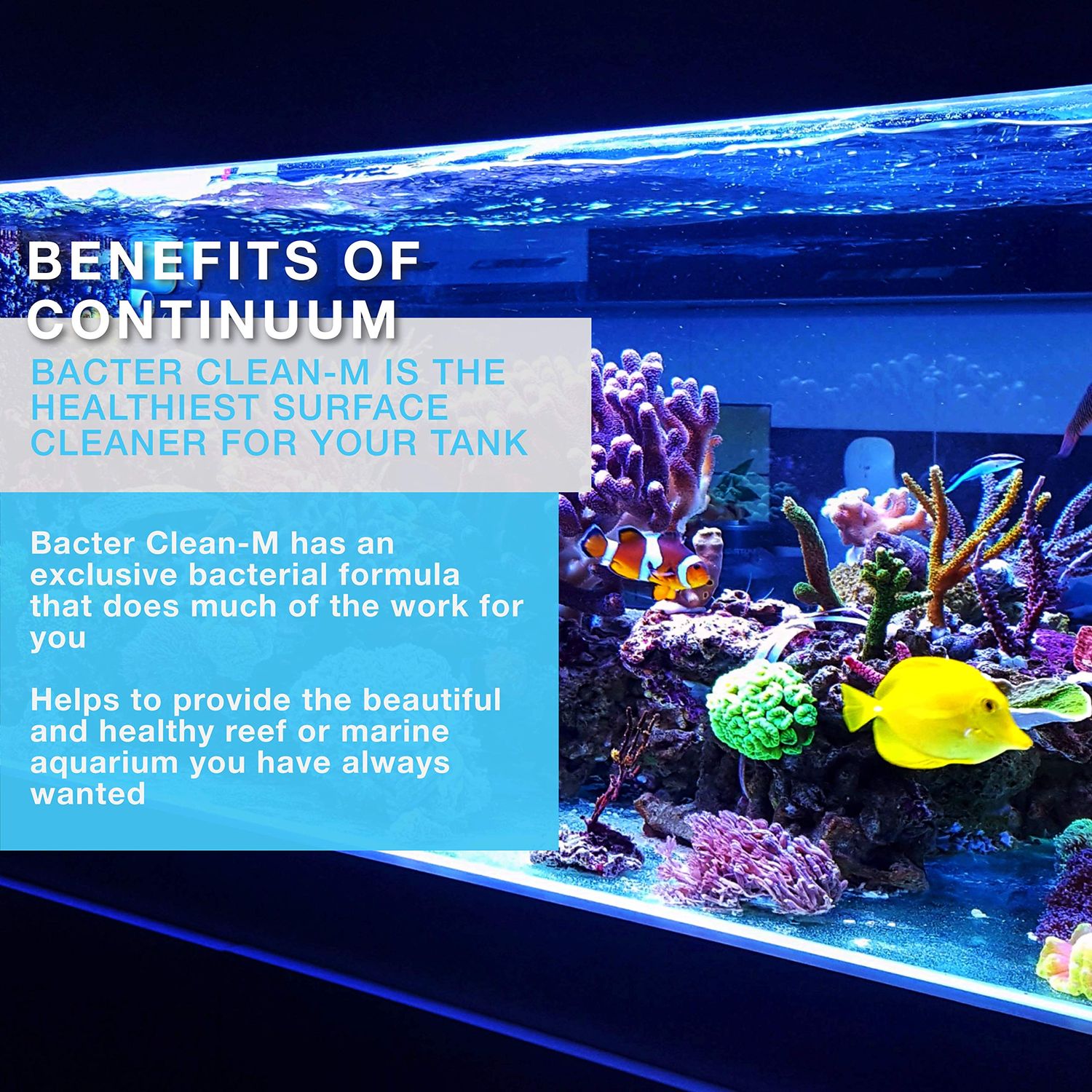 Continuum Aquatics BacterClean-M - Cleaning Microbial Culture for Reef and Marine Aquariums, 1 L, Model Number: QBCM1L