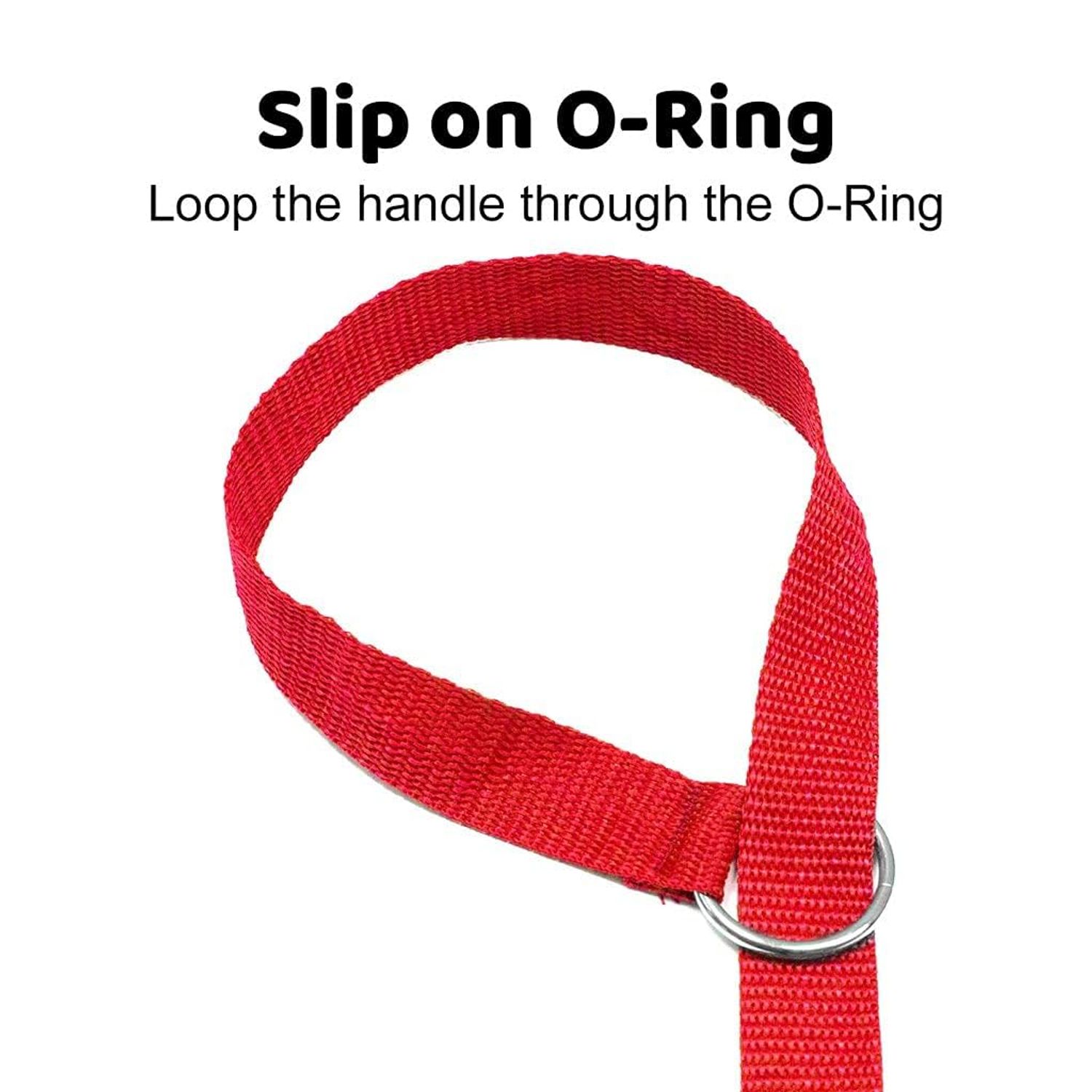 Downtown Pet Supply Slip Lead Dog Leash 24 Pack, 4' x 1/2" - Universal Dog Slip Leash with Metal O Ring - Machine Washable Dog Slip Lead for Groomers, Shelters, Rescues, Vets, or Doggy Daycares