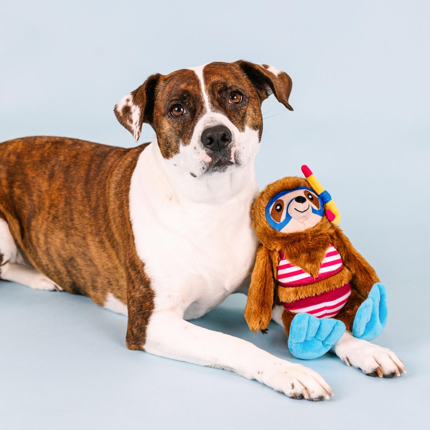 Fringe Studio Plush Dog Toy, Swimin’ with The Fishes, Pet Shop Collection (314293)