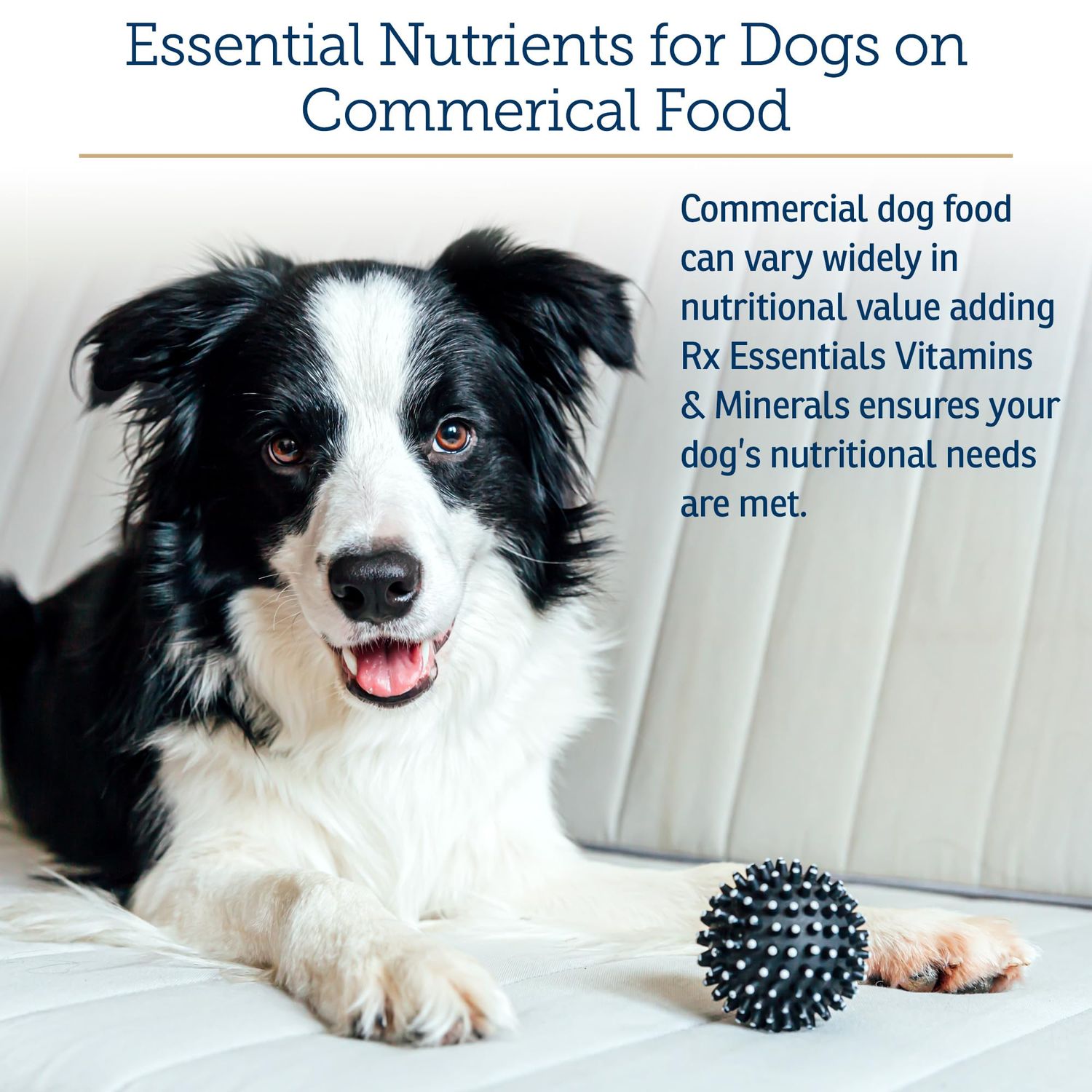 Rx Vitamins Essentials for Dogs - Daily Dog Multivitamin Powder - with Blue Spirulina for Dogs, Kelp Powder, and Milk Thistle for Dogs - Complete Dog Vitamins and Essential Minerals - 8 oz