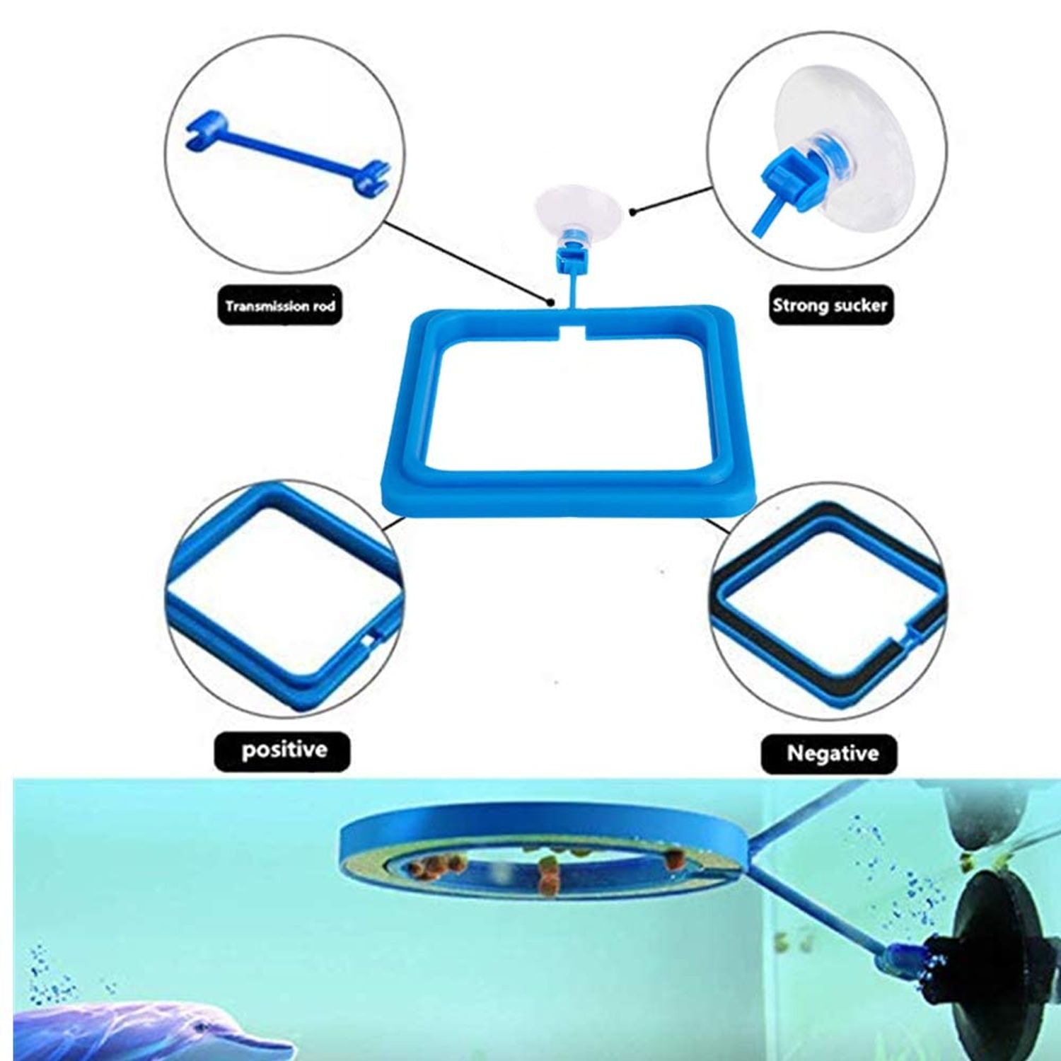 2 Pcs Fish Feeding Ring, Fish Safe Floating Food Feeder Circle Blue, with Suction Cup Easy to Install Aquarium, Square and Round Shape Fish Tank Towels - for Guppy, Betta, Goldfish, Etc. (Blue)¡­