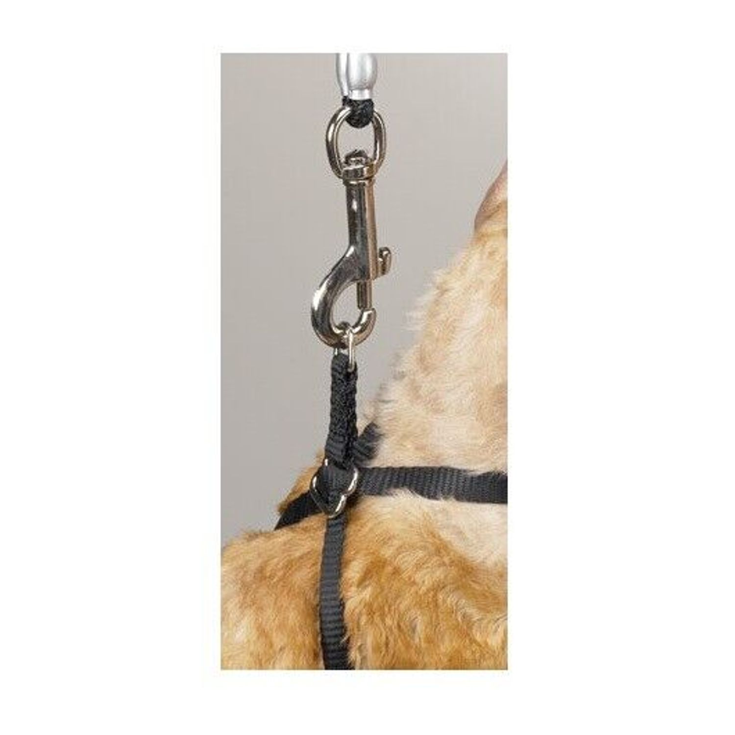 Black Nylon Adjustable Cat Harness 40" Secure Pet Restraint Easy Snap Closure