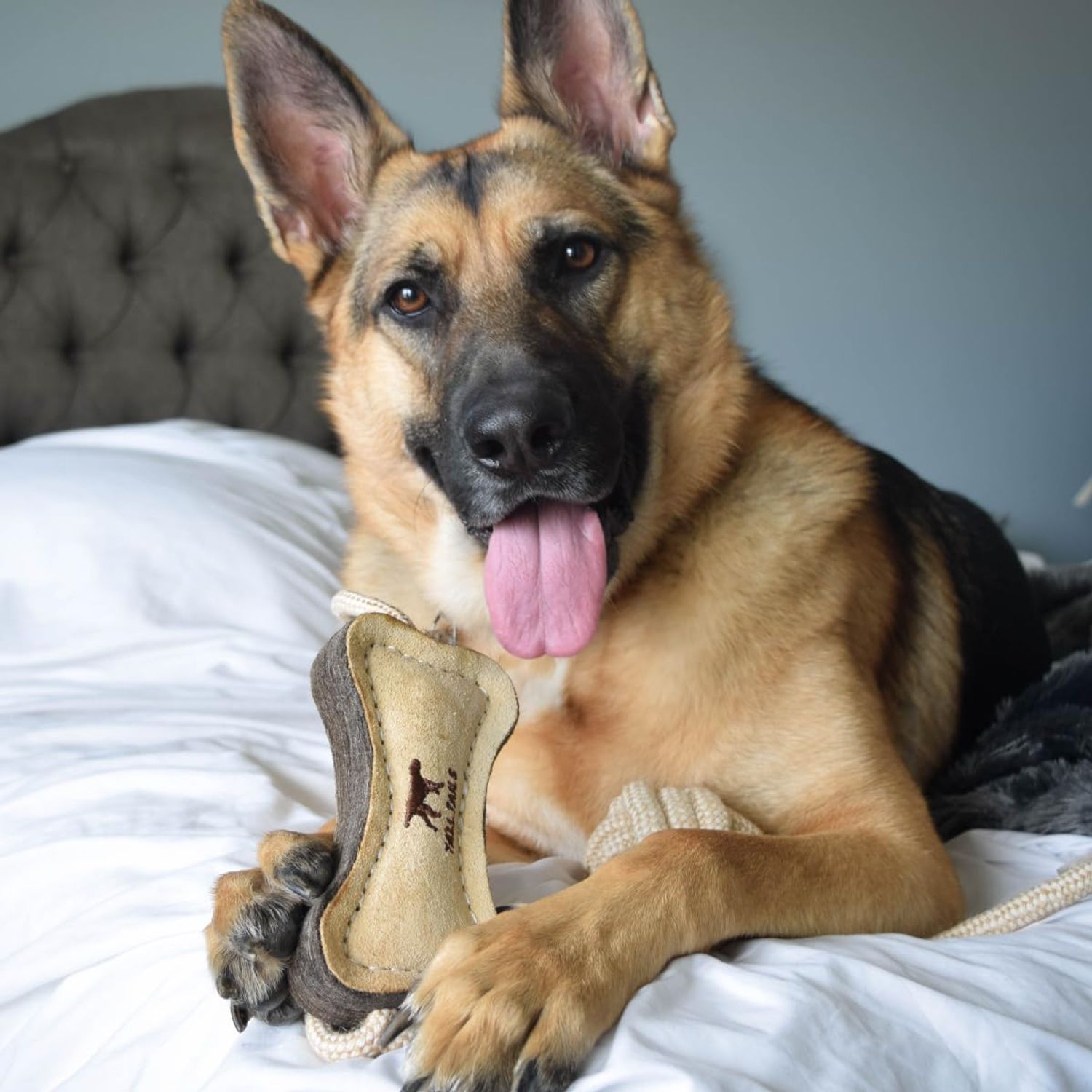 Tatll Tails Natural Leather Boot Tug Toy for Dogs