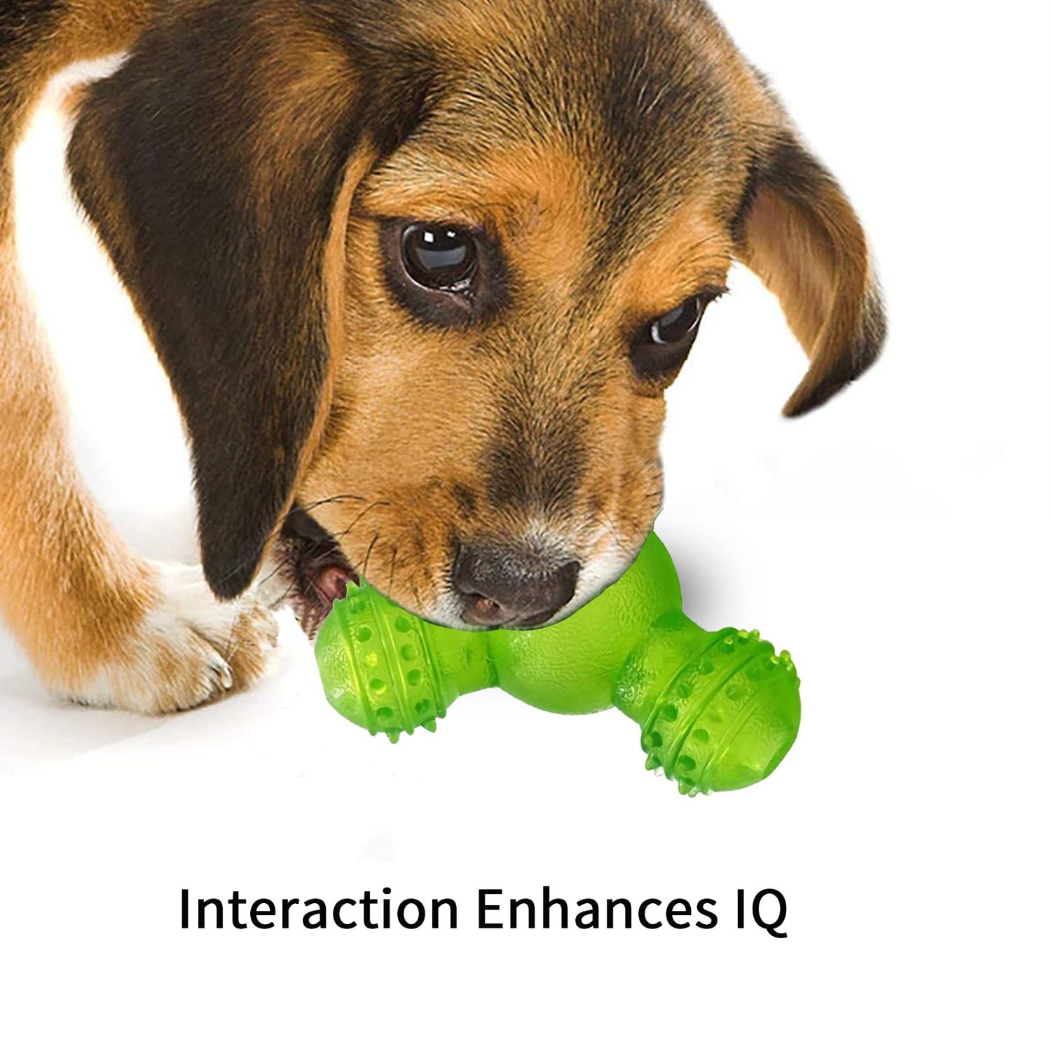 Eilin Dog IQ Training Balls Food Distribution Toys Dog Treat Toy Balls Chew Clean Teeth Toys Interactive Increase IQ Cat Dog Pets Toys (Green)