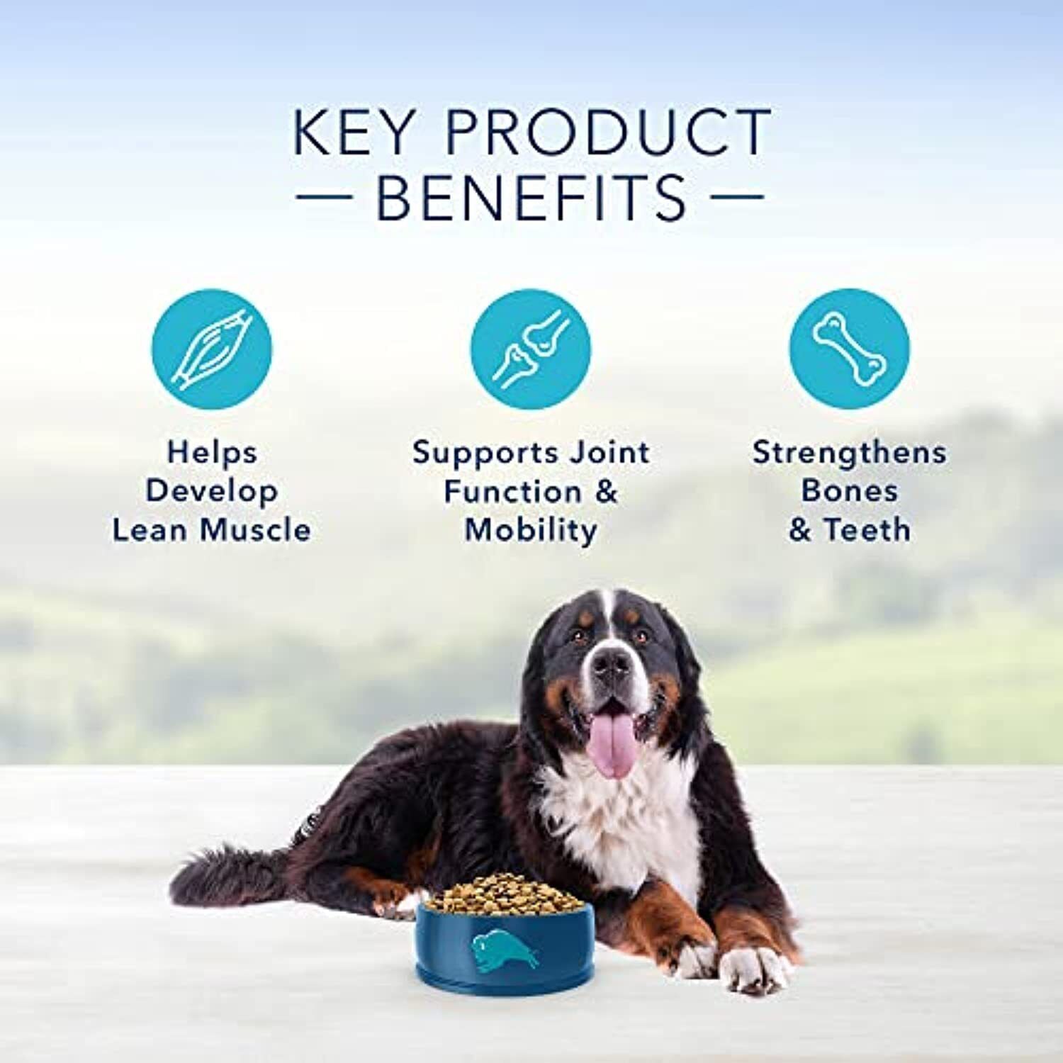 Blue Buffalo Life Protection Formula Natural Adult Large Breed Dry Dog Food,