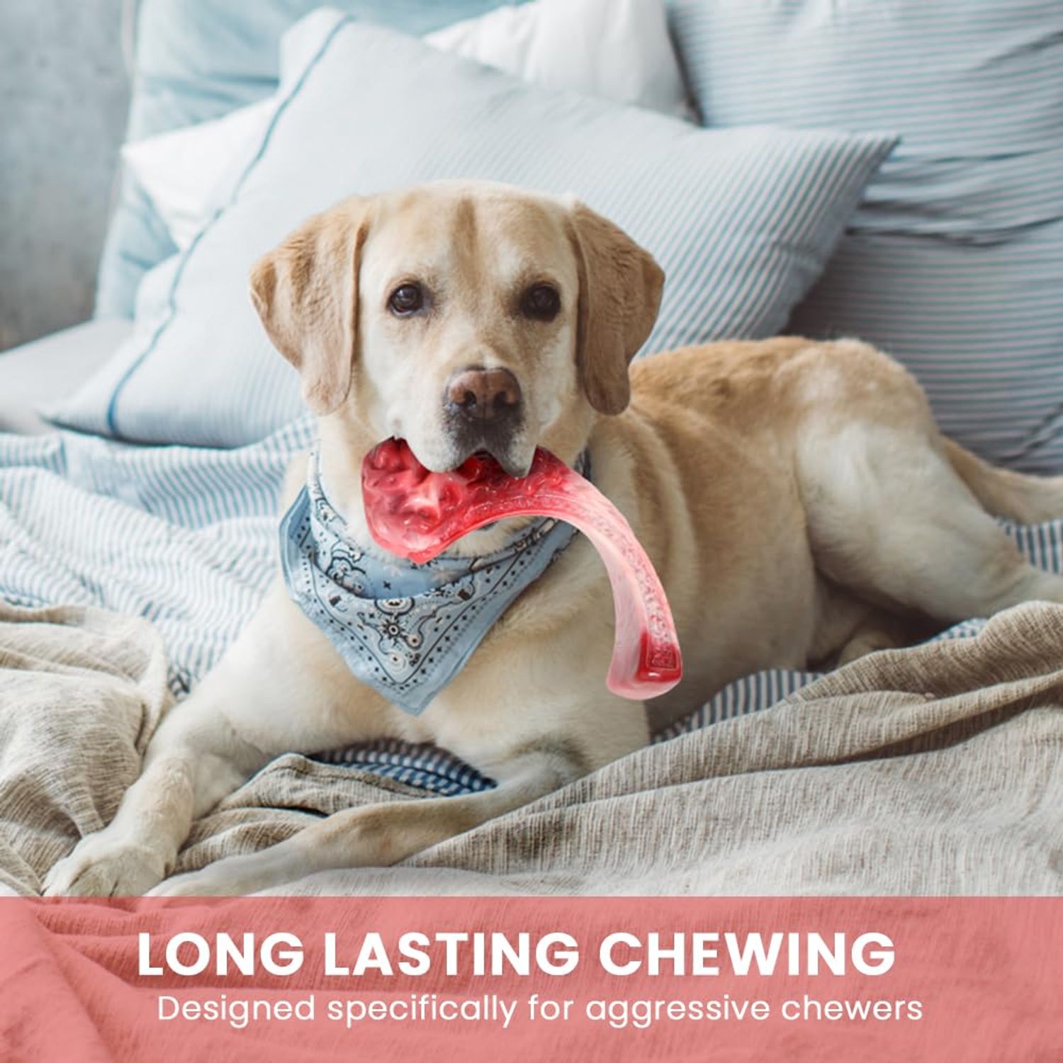 LILEEE Dog Chew Toys for Aggressive Chewers, Indestructible Dog Toy for Small Breed, Dog Nylon Toys for Medium Sized Dogs to Keep Their Teeth Shiny