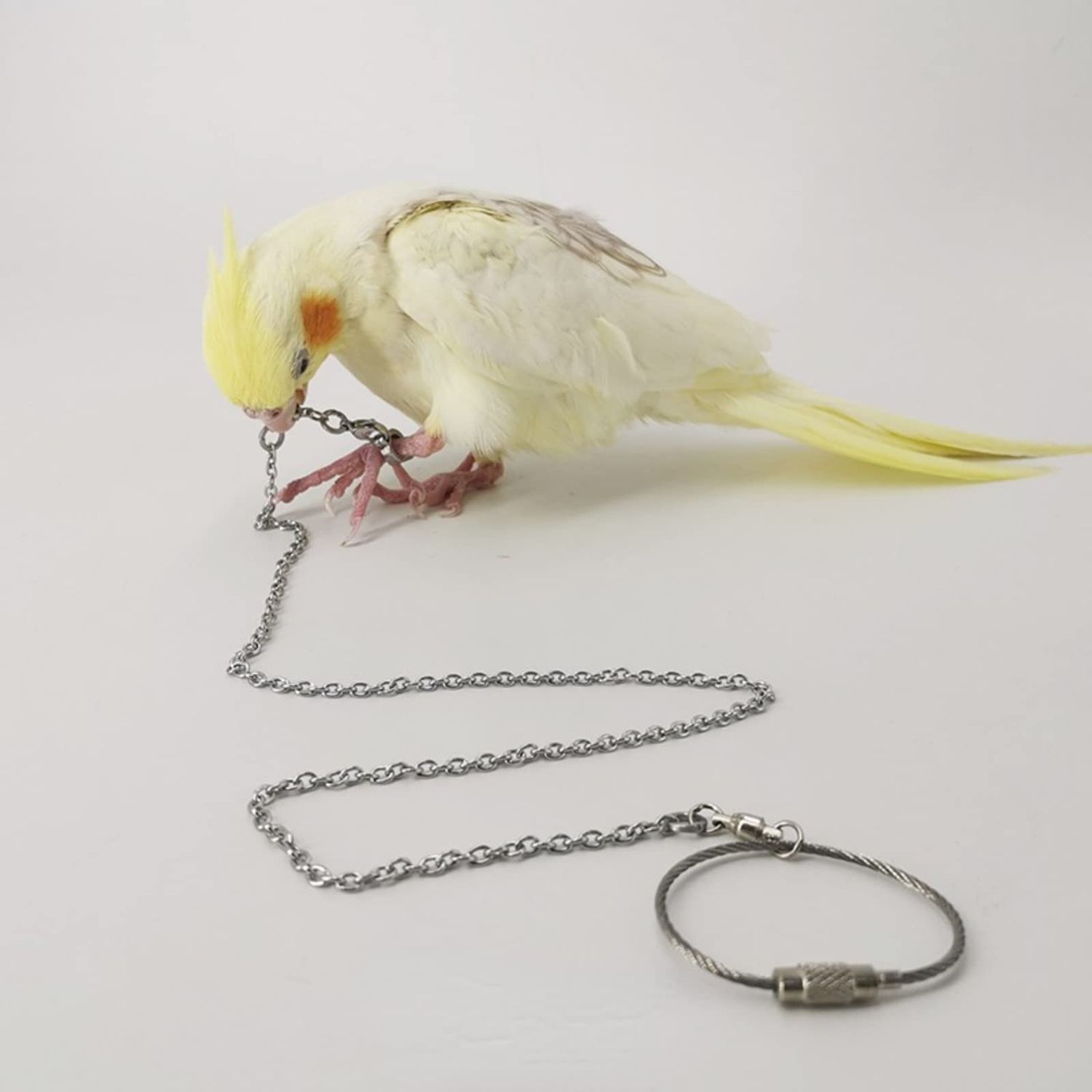 Bird Foot Chain Flying Stainless Steel Training Rope Outdoor Parrot Ankle Foot Ring Accessories Bird Harness Leash Prevent Escaping (Model7)