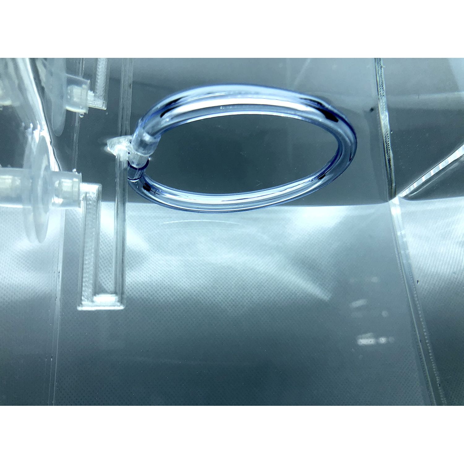 Invisible Feeding Ring (Customizable and Auto-Leveling) Food Portal for Floating Plant Aquariums and Fish Tanks (Two-Pack)