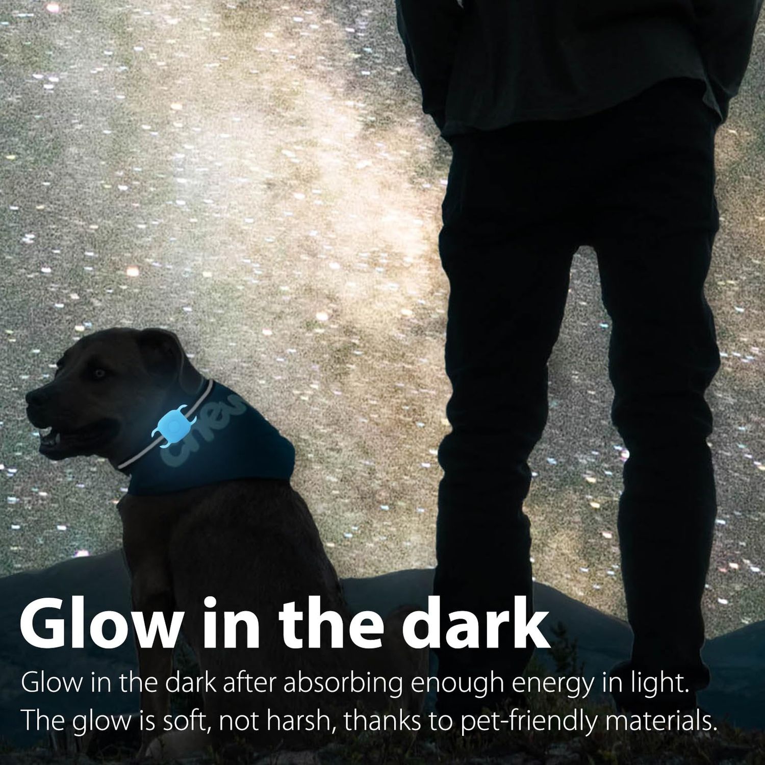 Silicone Dog Collar Holder for Tile Mate 2024 & 2022, 2 Pack Waterproof Protective Cover for Tile Tracker Pet Dog Cat (Luminous - Blue & Pink)