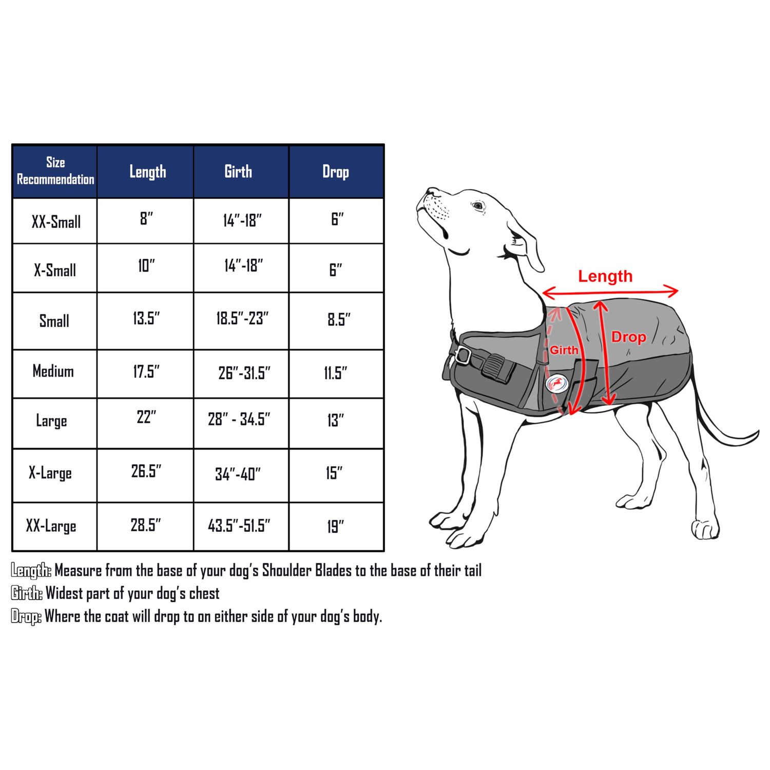 Derby Originals Horse Tough 600D Ripstop Waterproof Winter Dog Coat 150g Medium Weight