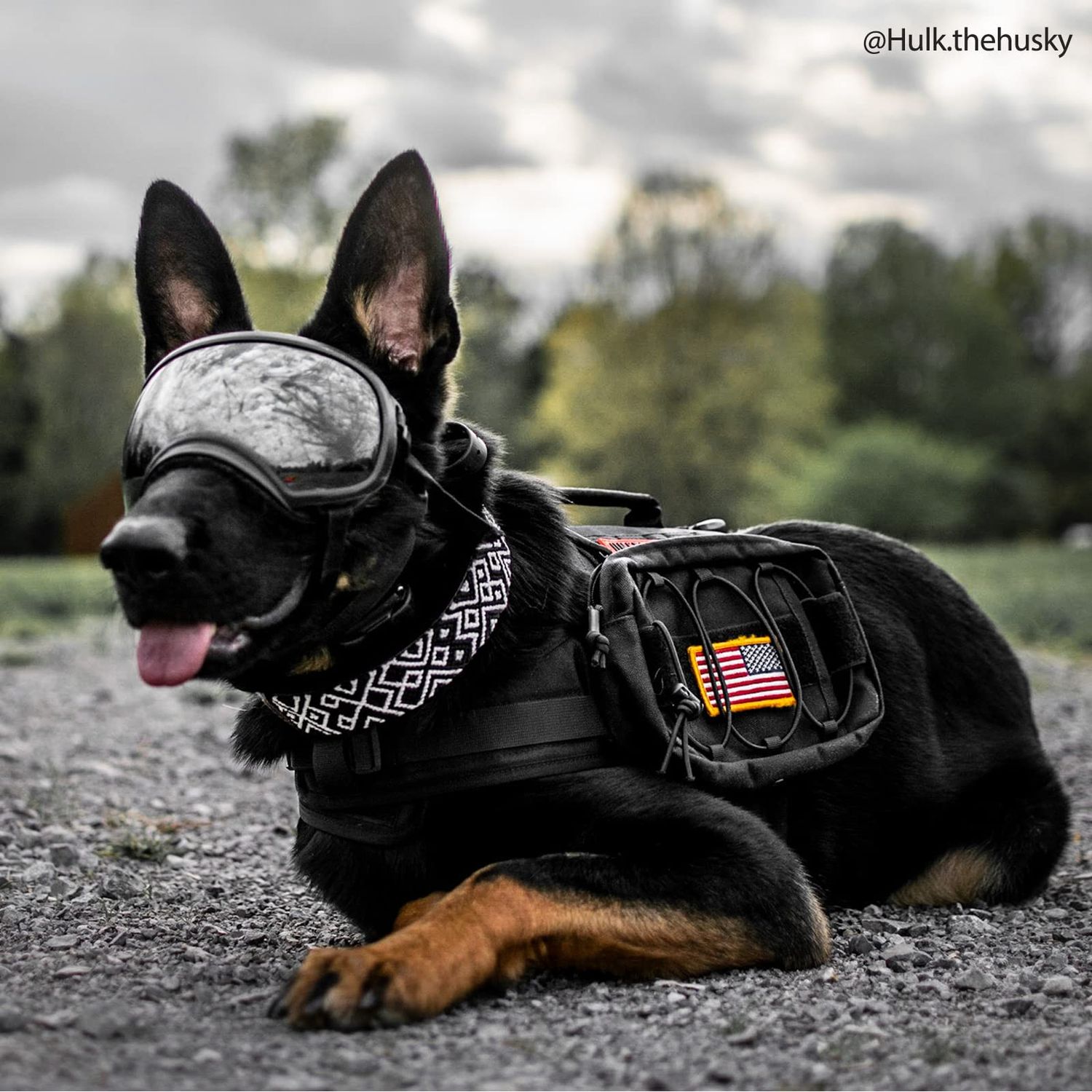 OneTigris Dog Backpack for Hiking Nylon Dog Harness Backpack with Side Pockets for Large Dog with 22"-31.5" Neck Girth and 29"-35.8" Chest Girth (Black)