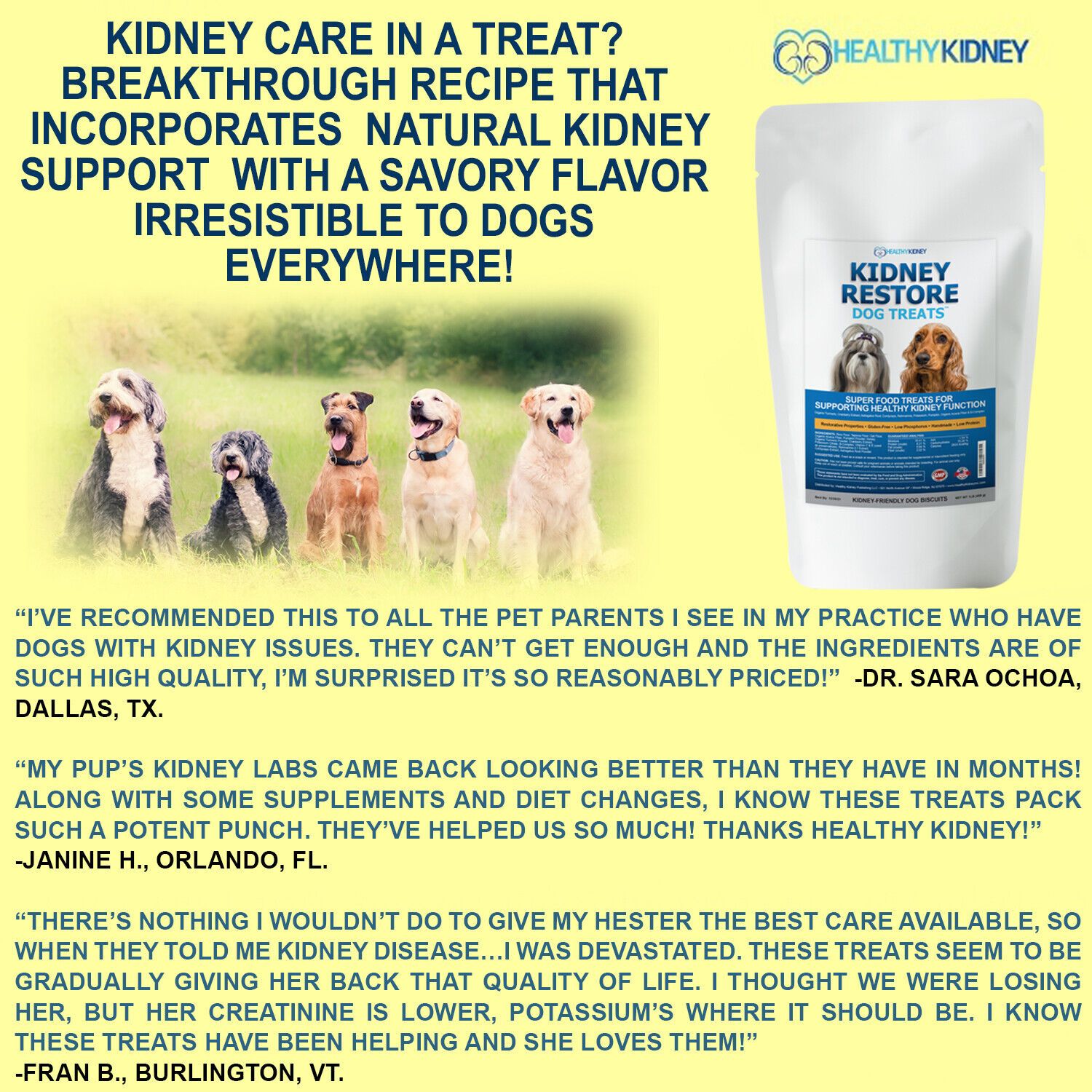 Kidney Restore Dog Treats Restorative Dog Treats for Kidney Disease, Low Protein