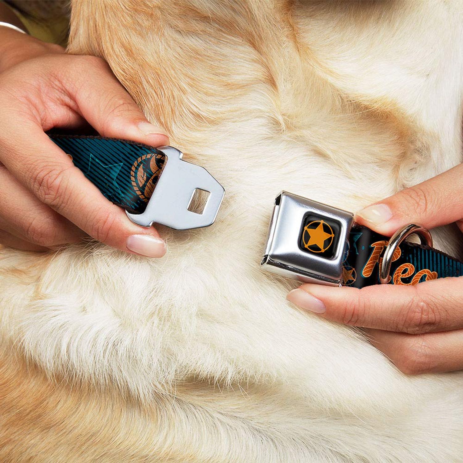 Dog Collar Seatbelt Buckle Woody Reach For The Sky Denim Blue Print 18 to 32 Inches 1.5 Inch Wide
