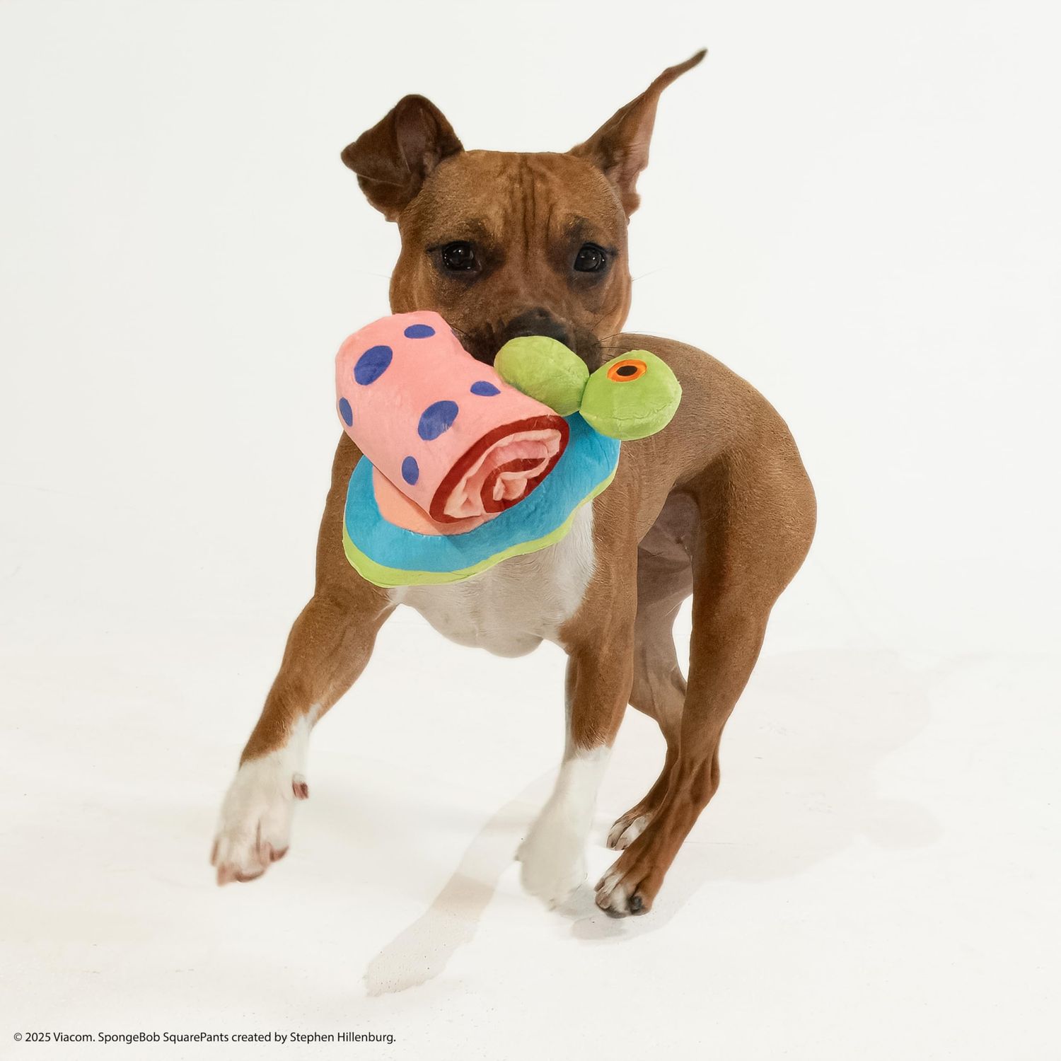 design LAB, Inc. Spongebob Squarepants Official Merchandise | Plush Dog Toys | 2-Pack Gary & Spongebob Tennis Ball & Treat Dispenser