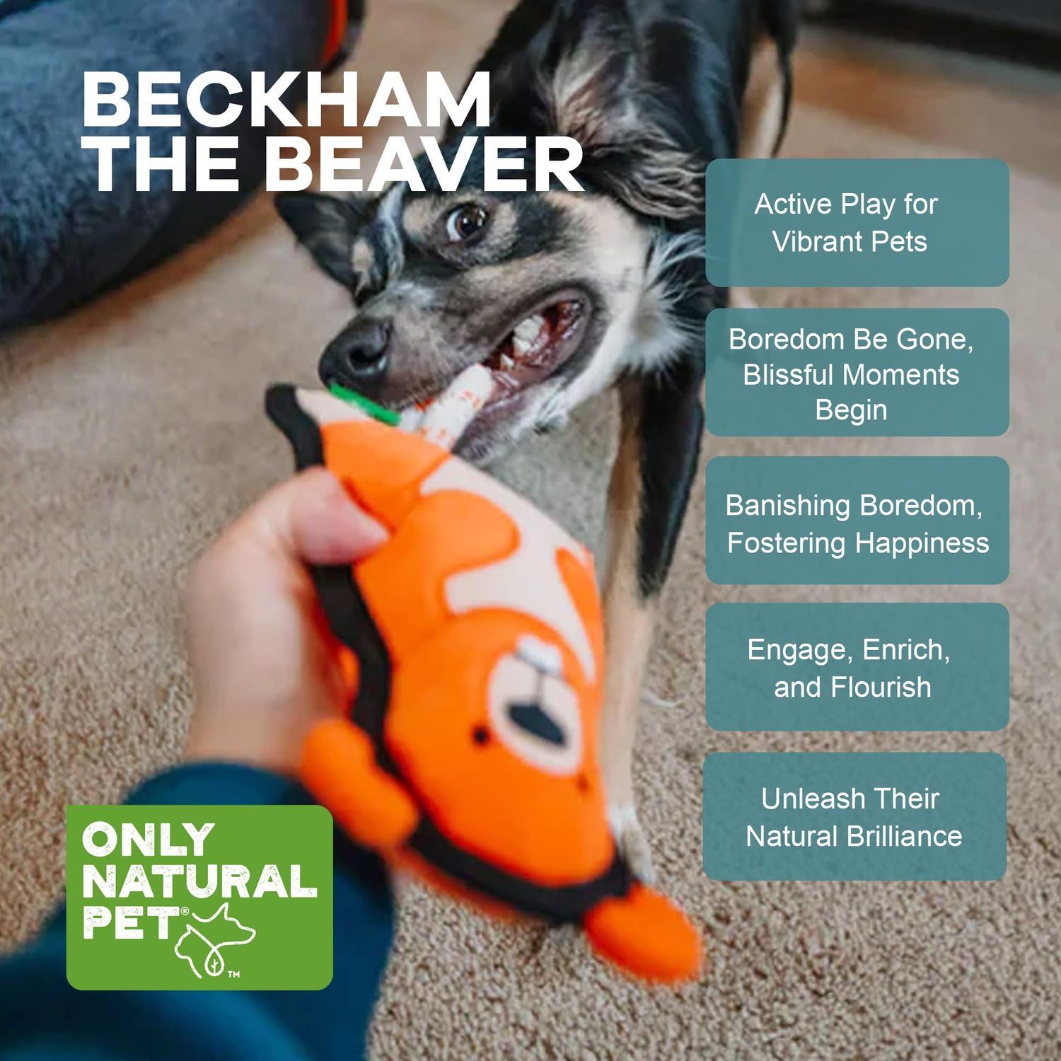 Only Natural Pet Mountain Friends Recycled Plush Dog Toys - Durable Double-Stitched Design with Internal Squeaker & Rope Tug Tail - Stuffed Toy for Dogs, Pet Toy | Beckham The Beaver, 5.5" x 11"