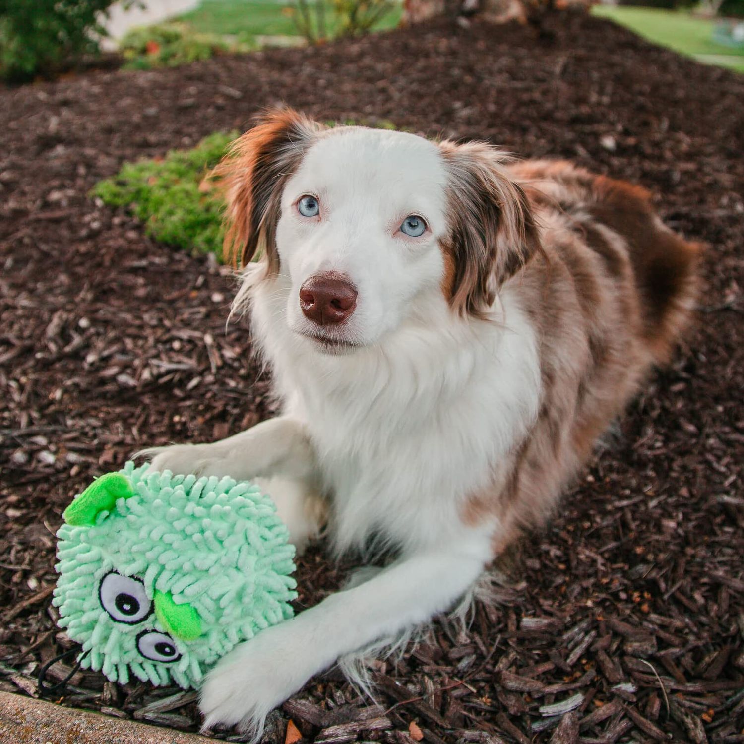 SmartPetLove Snuggle Puppy Tender-Tuffs Ball - Round Pufferfish Tough Dog Toy - Cute and Fun Plush Ball with Squeaker
