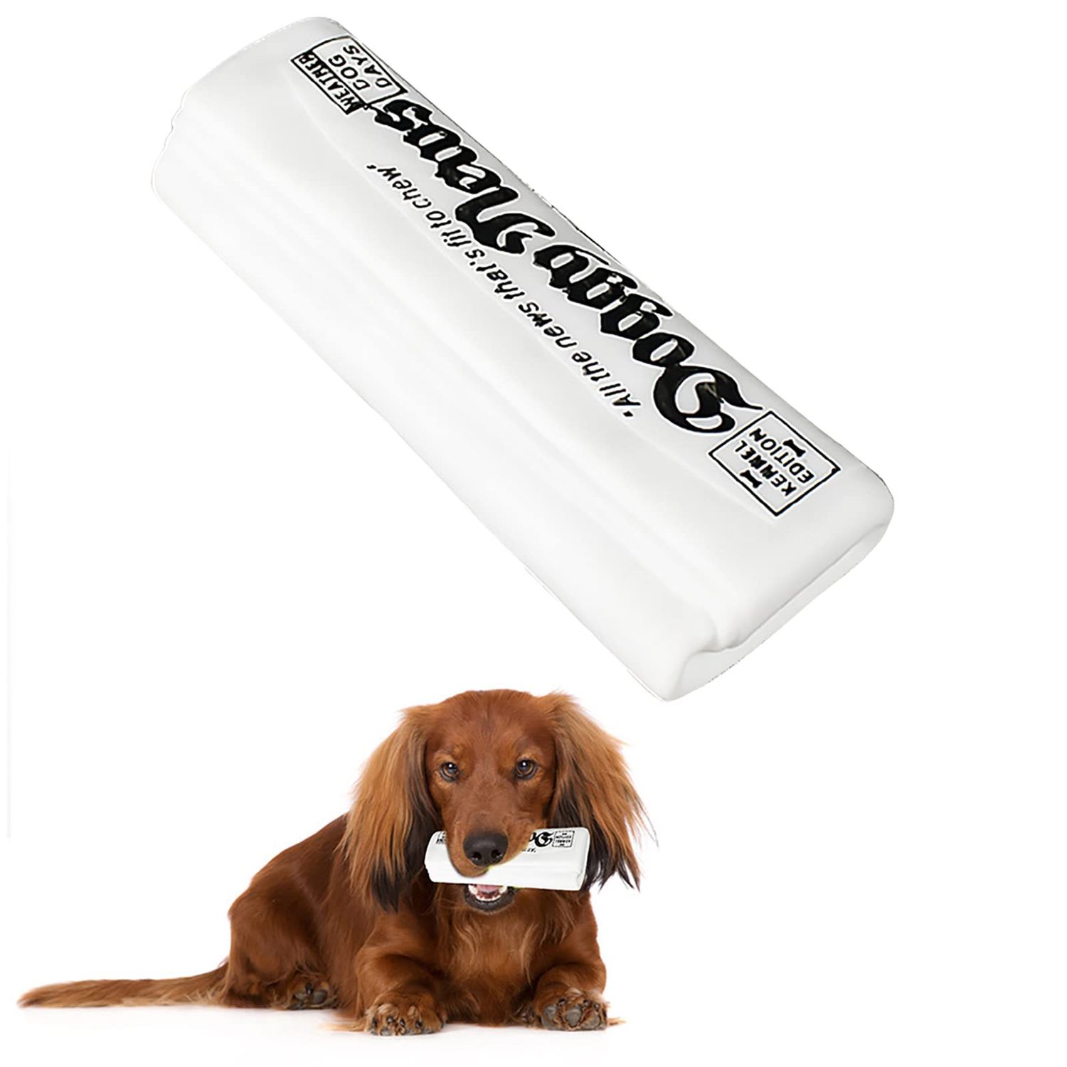 GabeFish 2 PCS Newspaper Dog Toy, 6.2 x 2.1-in (16 x 6.5 cm), Funny Chew Toys for Dogs, Teething Chew Toys for Dog