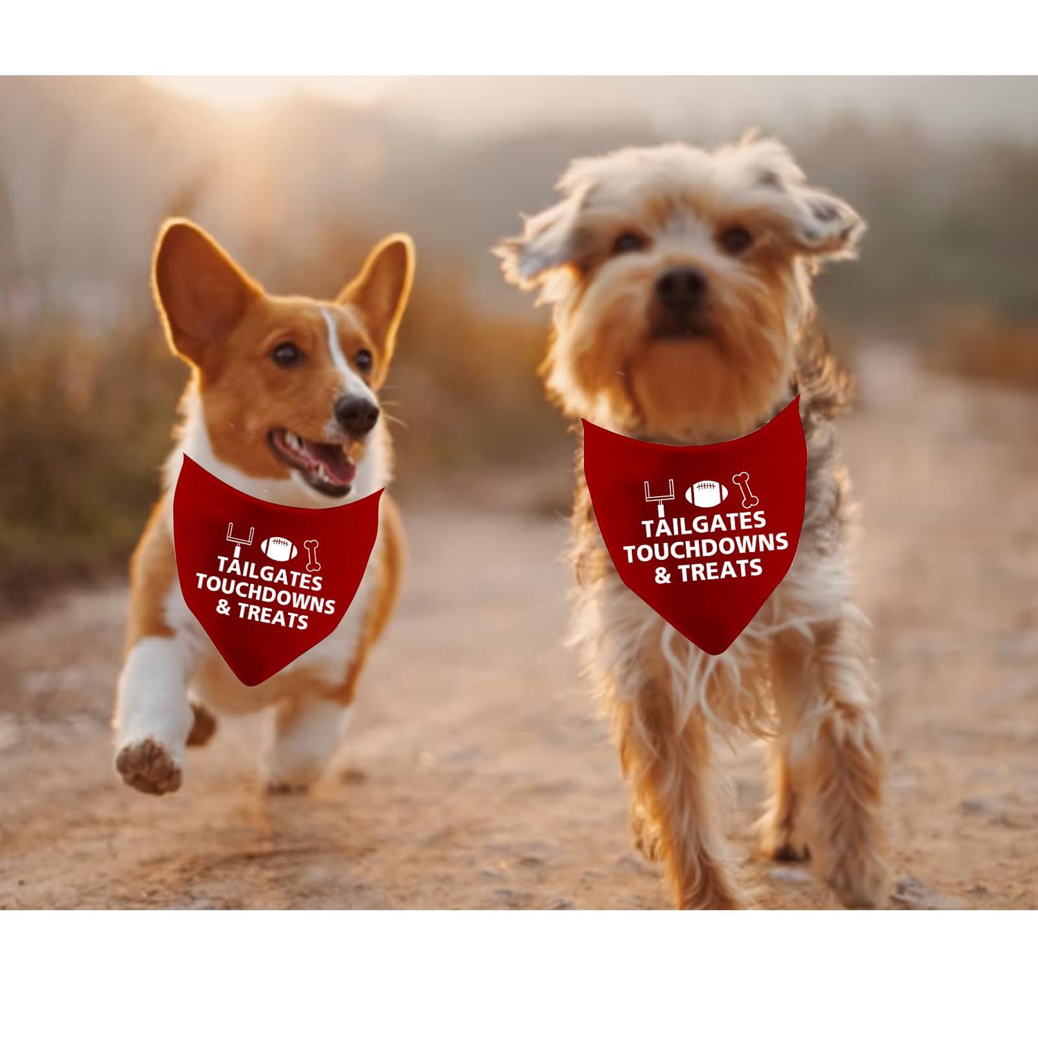 JXGZSO 1 Piece Football Dog Bandana Fall Dog Bandana Cute Fall Bandana Dog Football Bandana (Tailgates Dog)