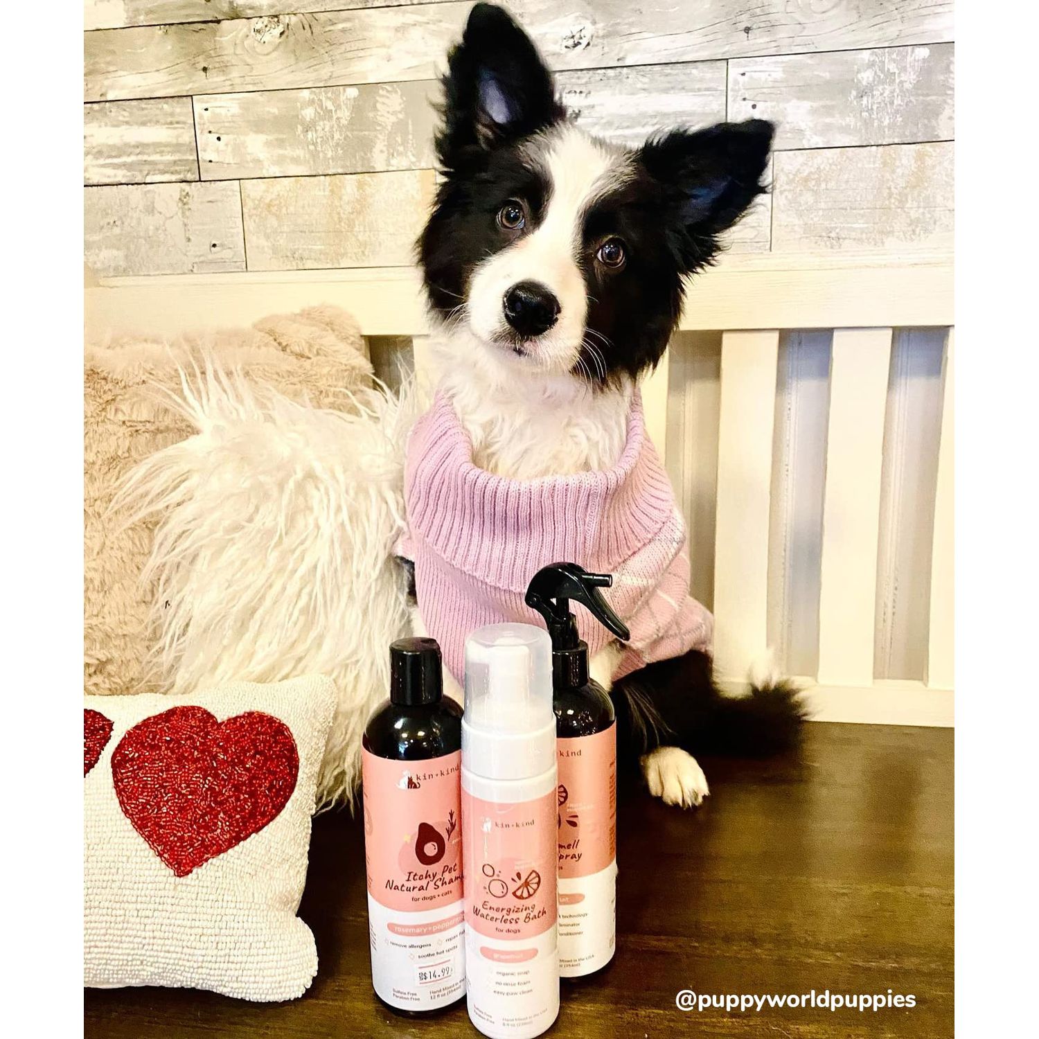 kin+kind Anti-Itch Dog & Cat Shampoo for Itchy Skin and Allergies - Safe, Natural Formula with Olive, Coconut, and Avocado Oil - Made in The USA - Great for Dog Grooming and Cat Supplies (12 fl oz)