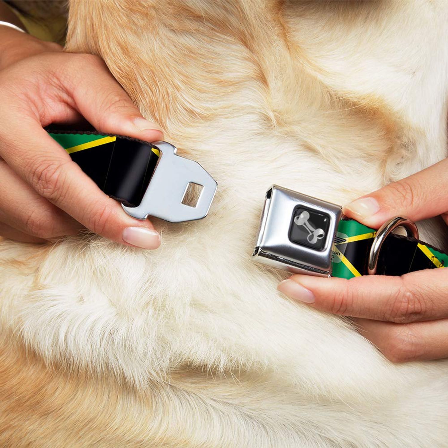 Buckle-Down Dog Collar Seatbelt Buckle Jamaica Flags Available In Adjustable Sizes For Small Medium Large Dogs, 1.5" Wide - Fits 18-32" Neck - Large