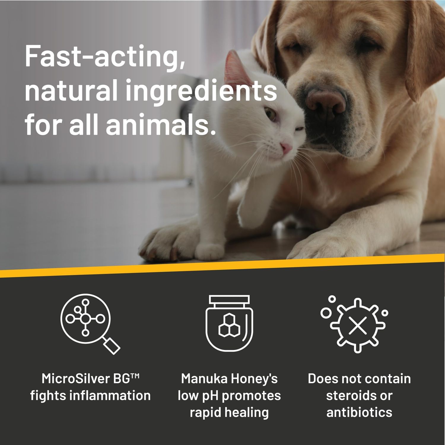 Absorbine Silver Honey Rapid Ear Care Vet Strength Pet Wipes, 50ct, Manuka Honey & MicroSilver BG